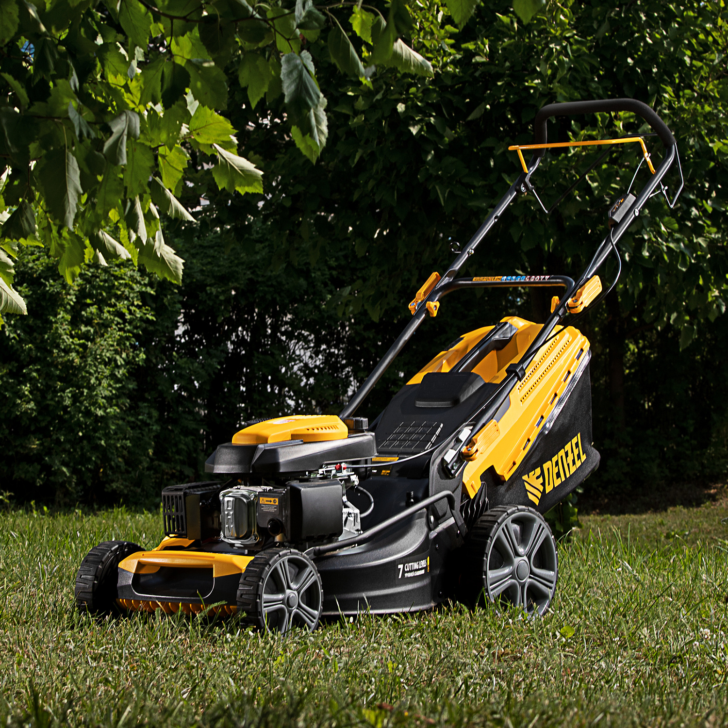 6fa62ff5e35a2ea050d17d0317b1257f6d3c1fb4_58803_013