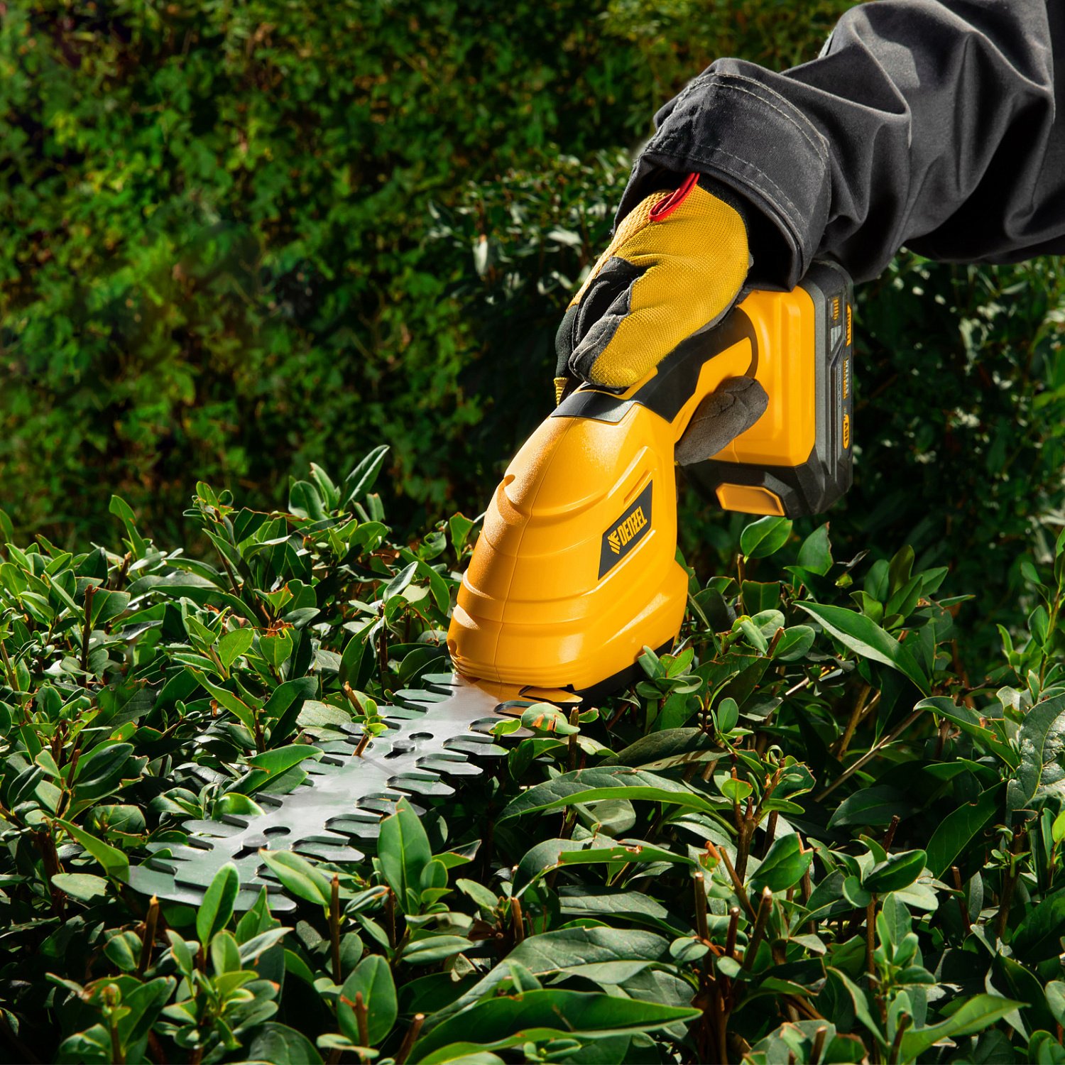 cf073f1dc5cb84833a9fa0351919232faa26548b_59430_5