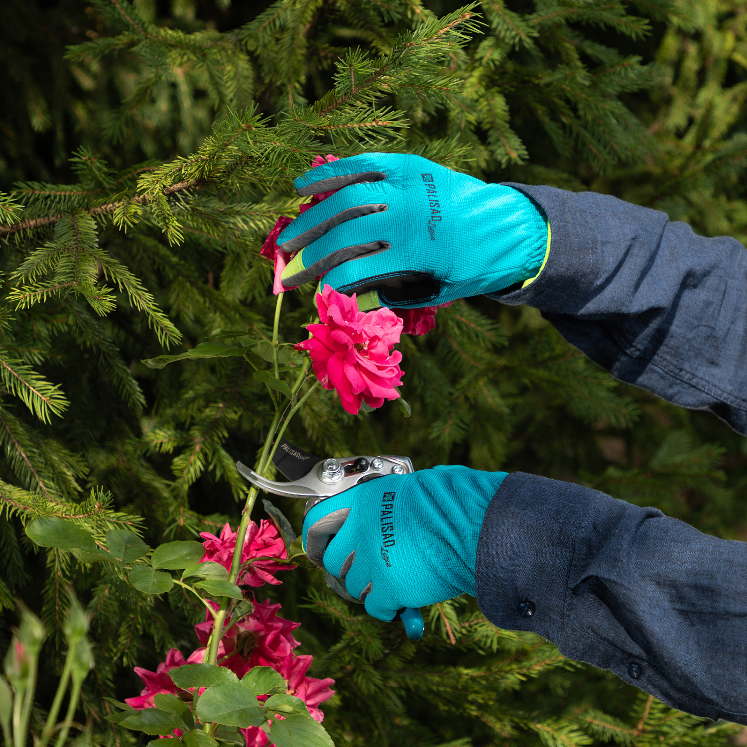 0c10160968e9073cc6d0e36b73ac5ee97adc635b_67987_4