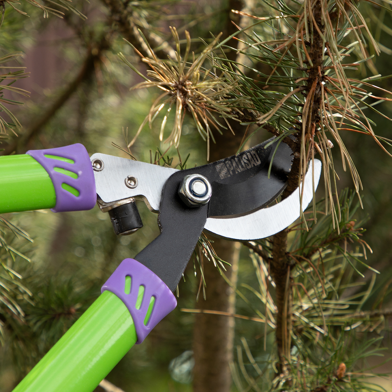 2c5ecea92c76a70fab8b9be01035bfd10793e499_60506_r01