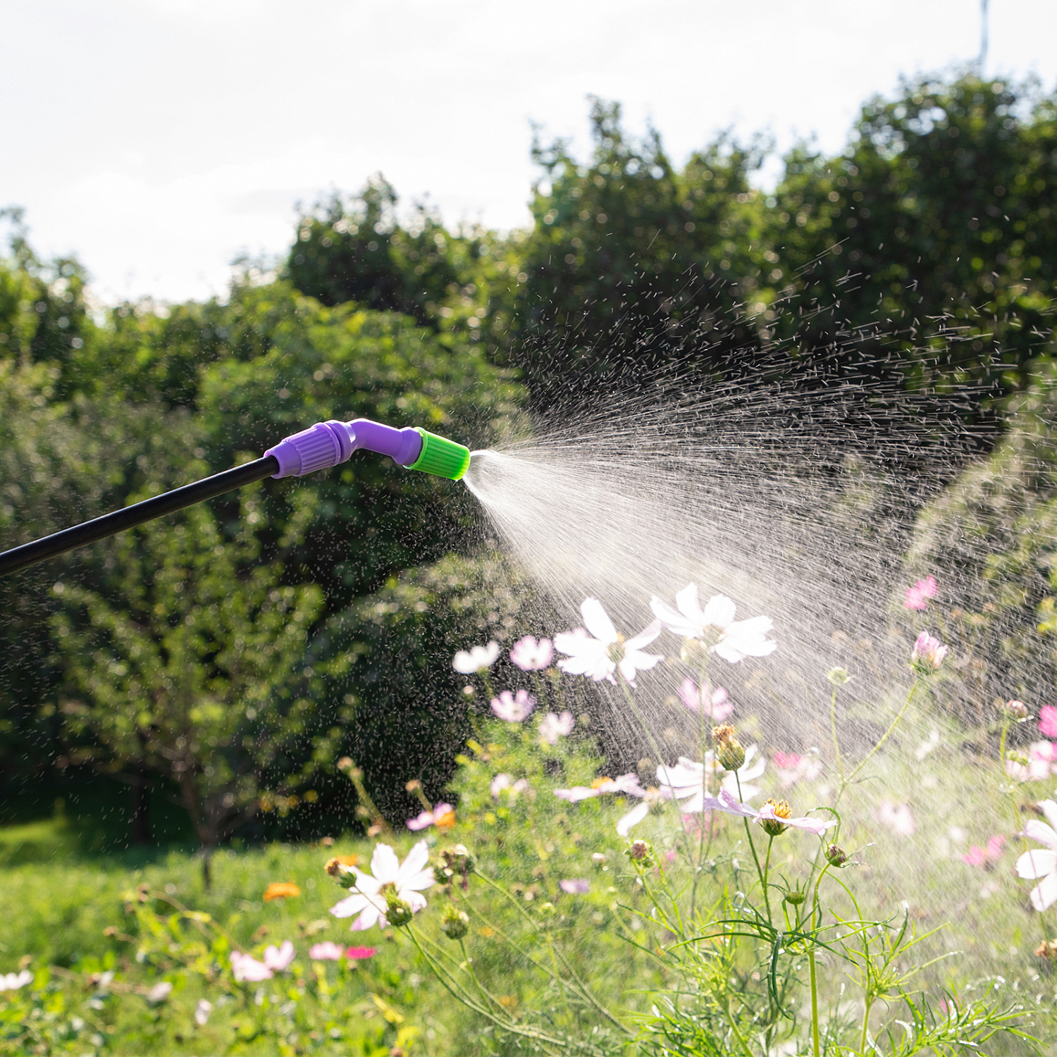 52aed740f0aaf2eca1cbb791b7cb0e2f11ab3ad7_64750_r005