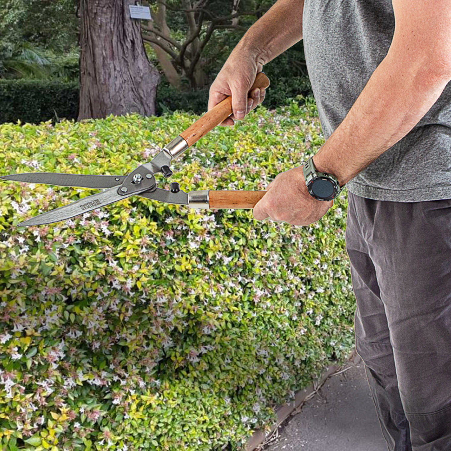 08f32d7e219a7c87ccdec5a38b9d6d6b530b12d5_608375_6