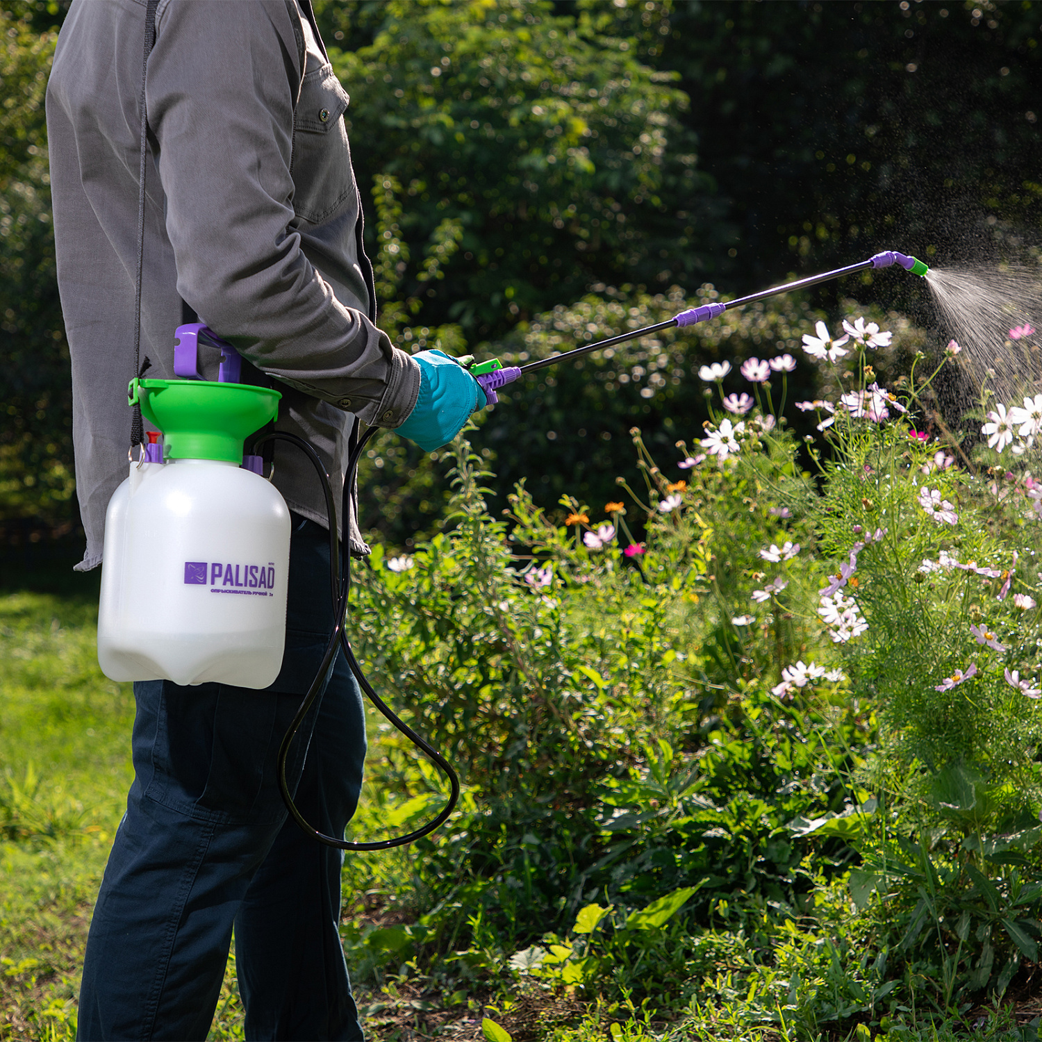 45db6500f18ea537a69ece10e084a7e14ebc4ea5_64743_4