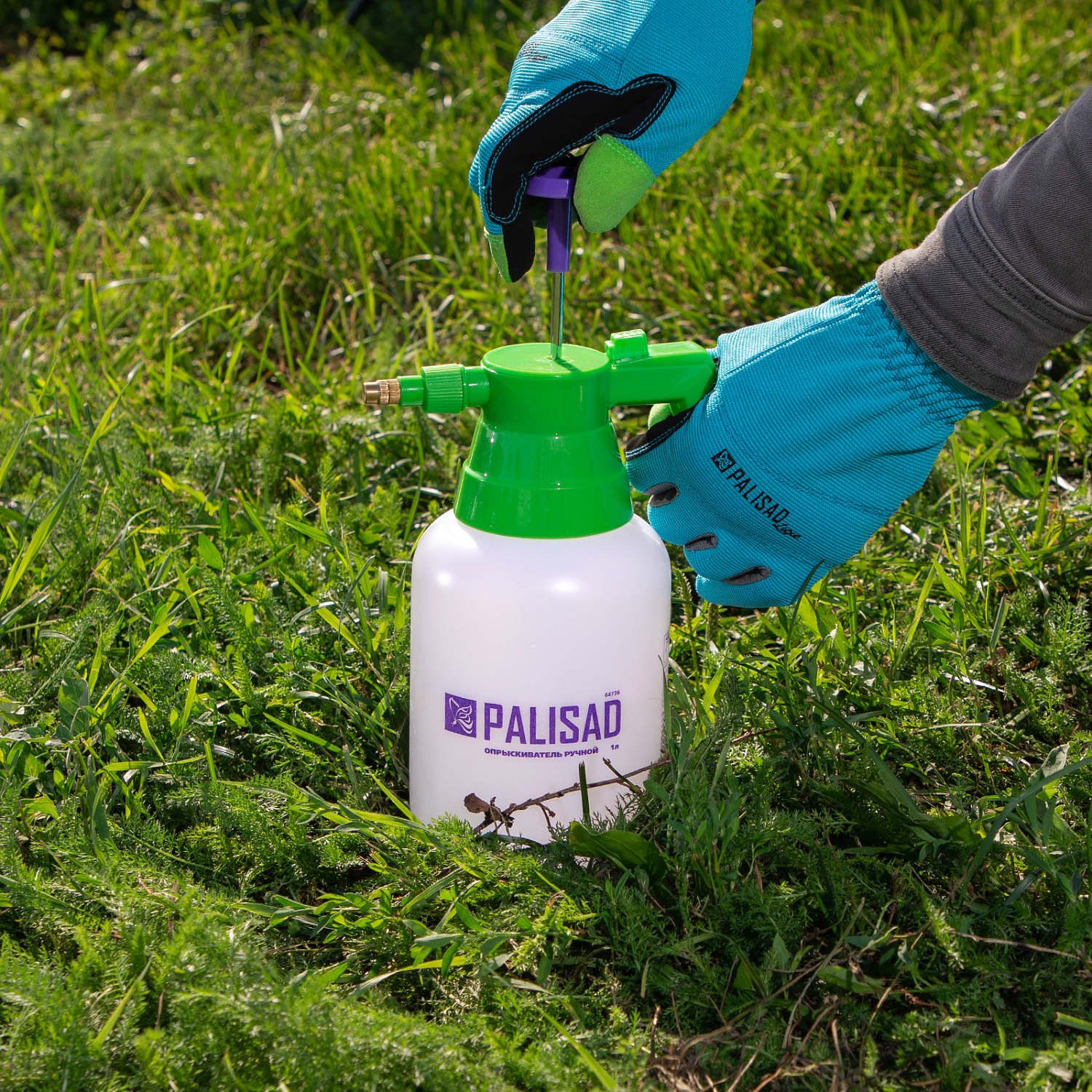 7bc8806ba605a43304f744380e7953b3f982edb8_64736_3