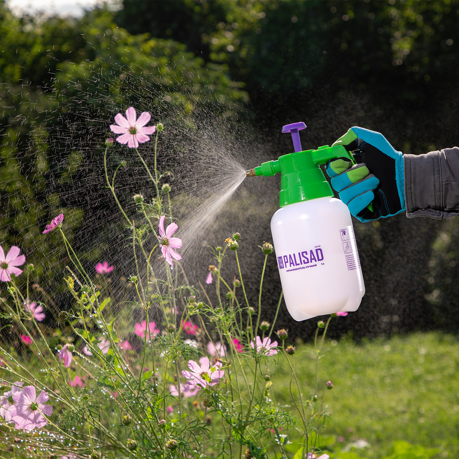 cff180da09a5361d373b818cc58ab26d04e43863_64736_6