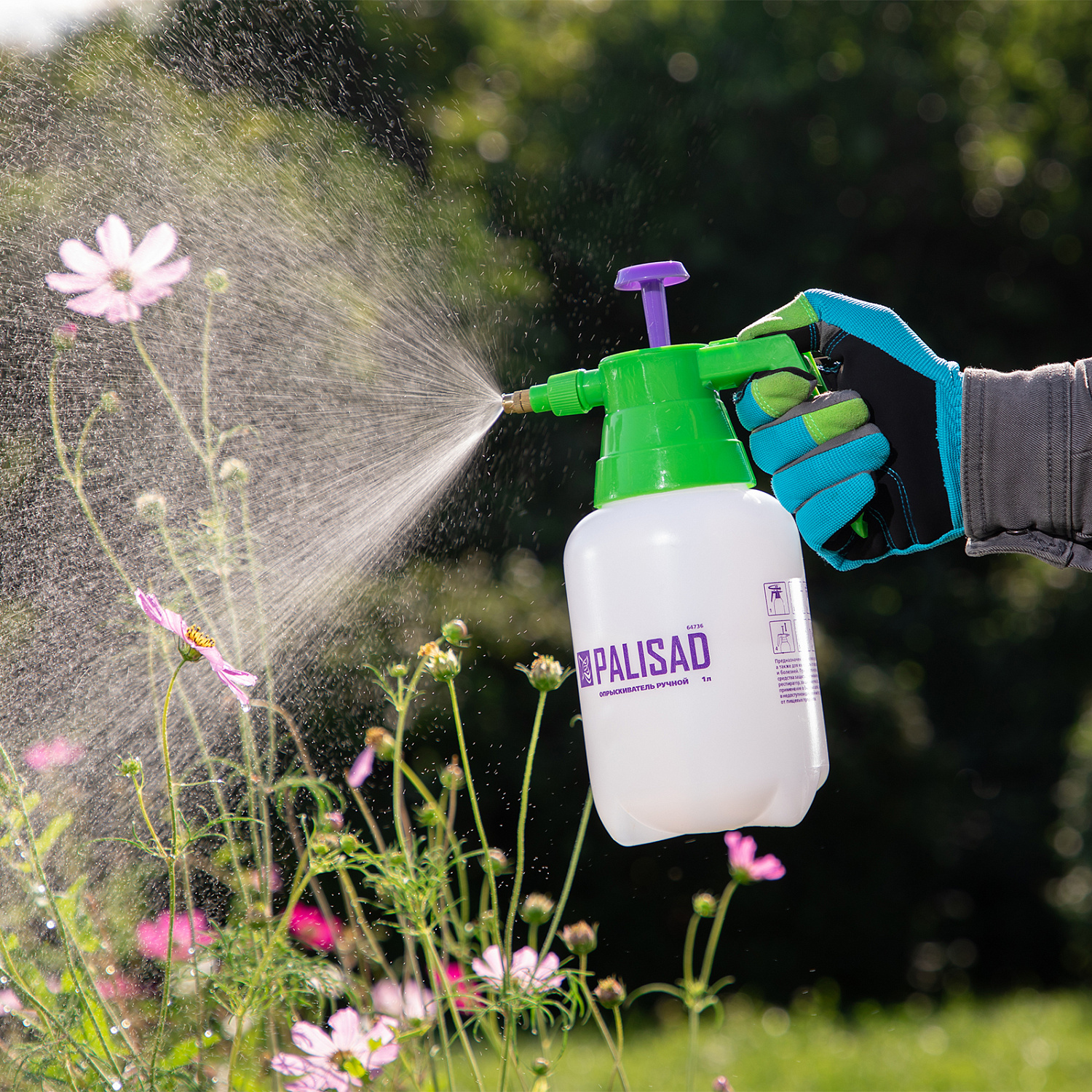 c7edcb2a72bb606189b7409aca1282eaeb0bca35_64736_7