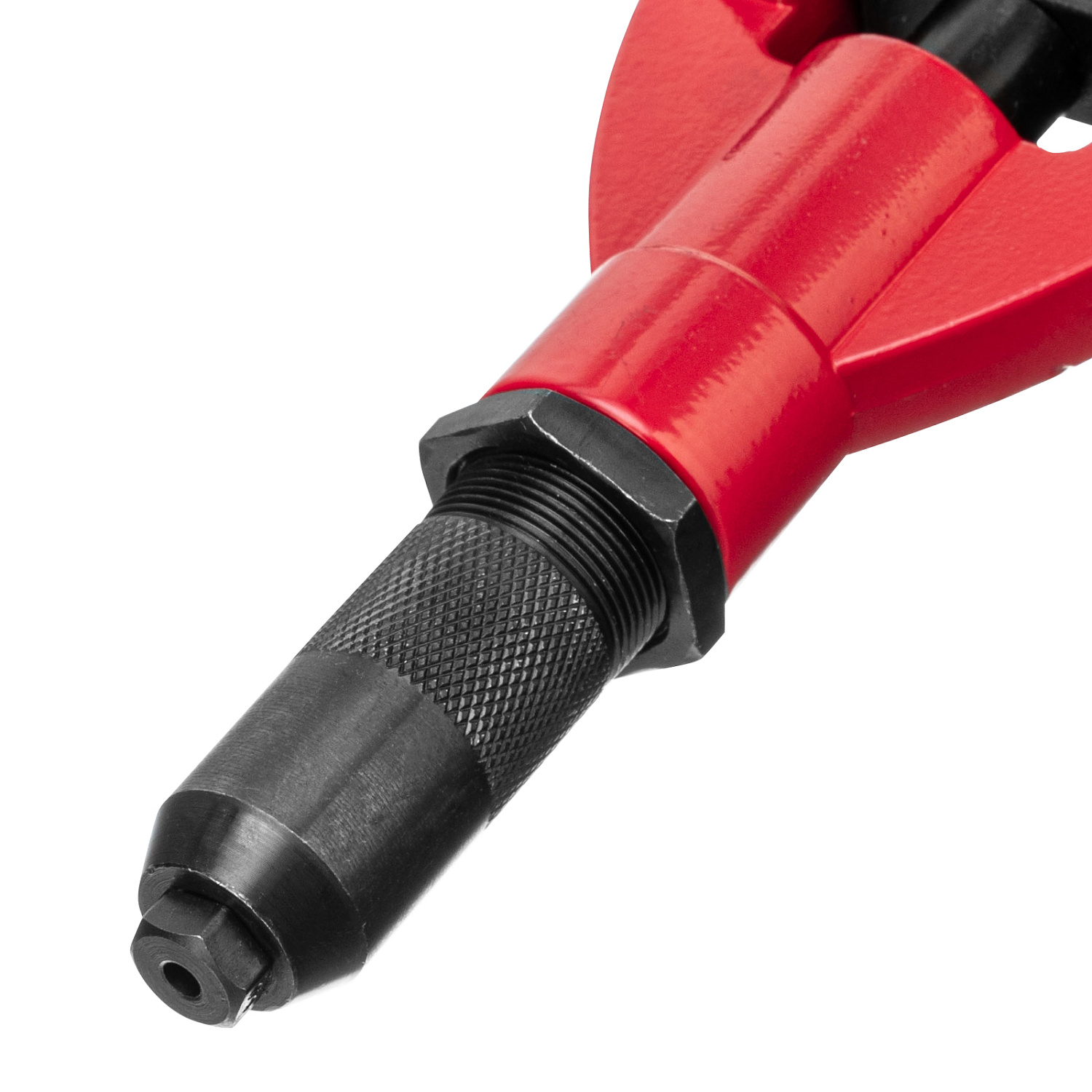 fc5edc3d9c74f2c0657ea8f55ab8c6759cdf2355_405505_003