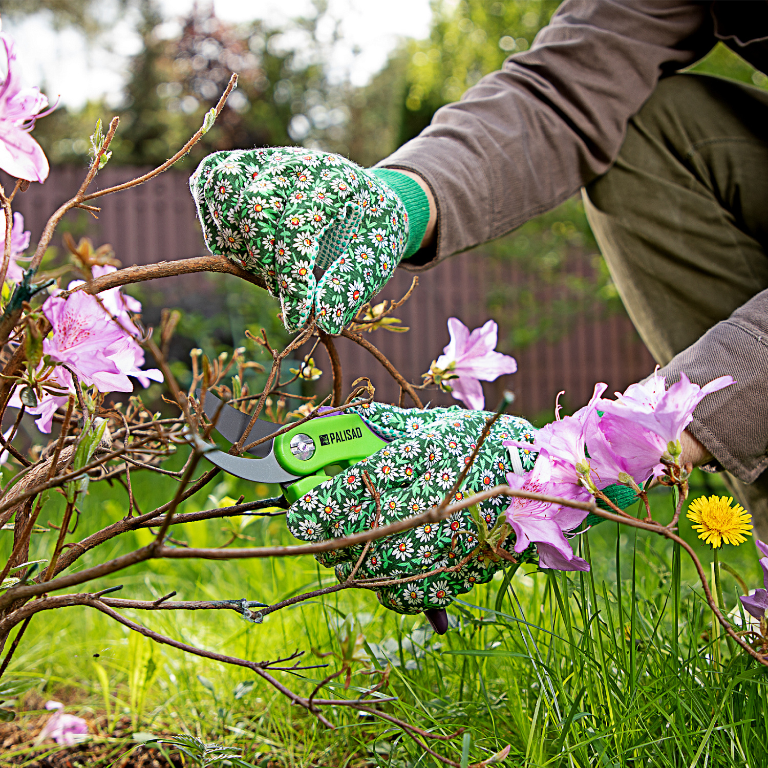 87ef8b8eb8c9cd93d5f91bb6296de289d2a1b291_67762_8