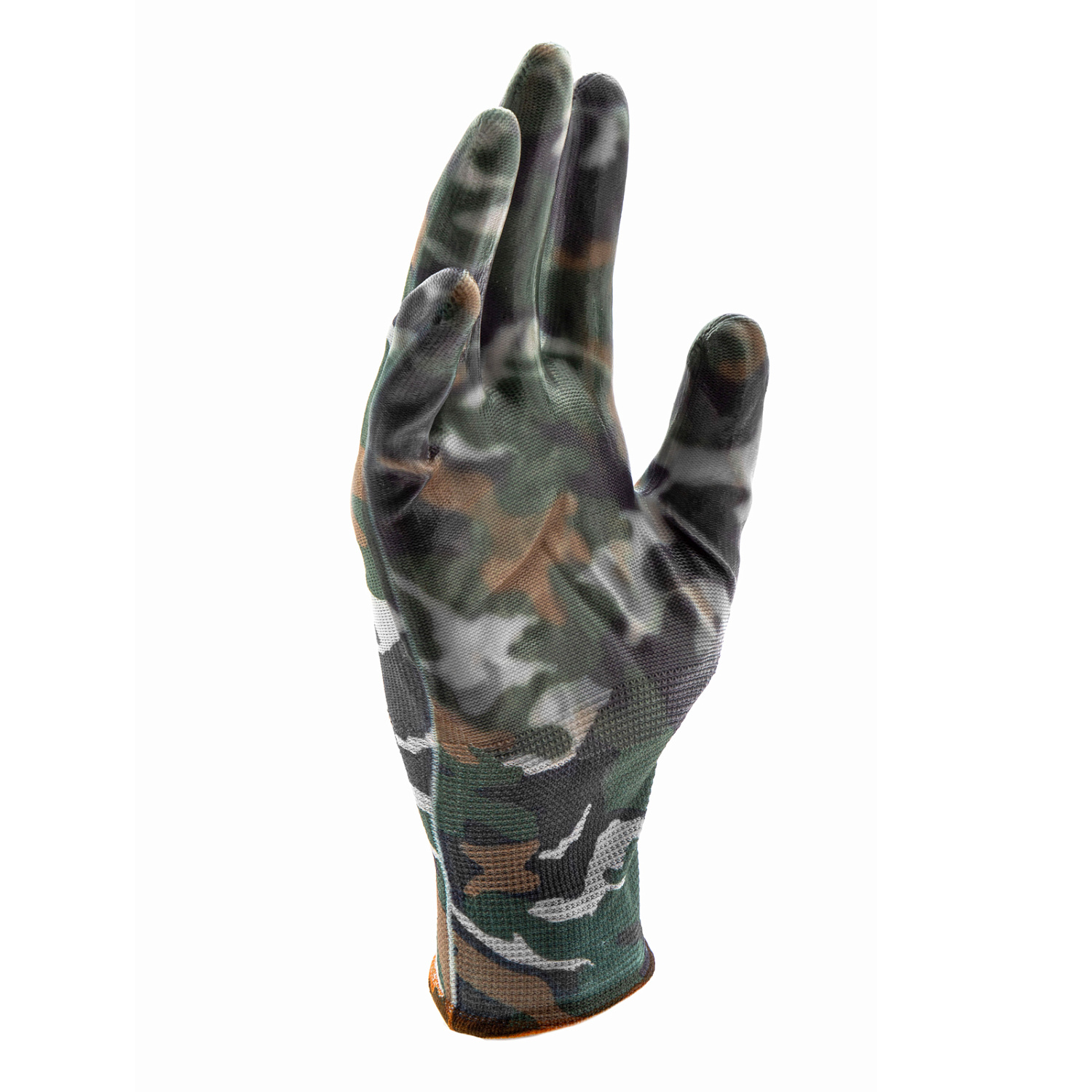 5d1bfccb1f69d5628249f4b8eba74f953778471a_67858_006