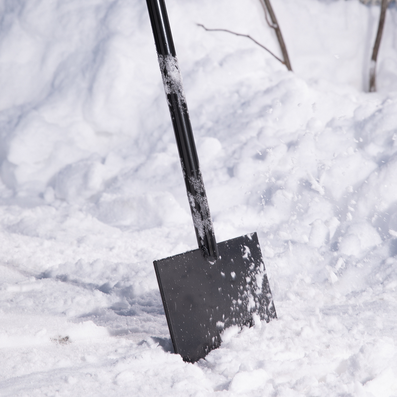 41143a9ea8750790fa4f39776da753ef567e043b_61524_r02