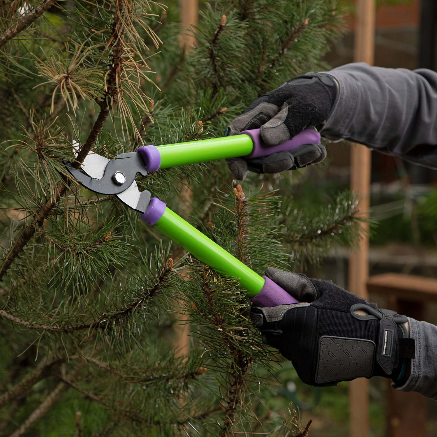 48772f37f87cfd515d649465f0d325ae731598d2_60568_r01