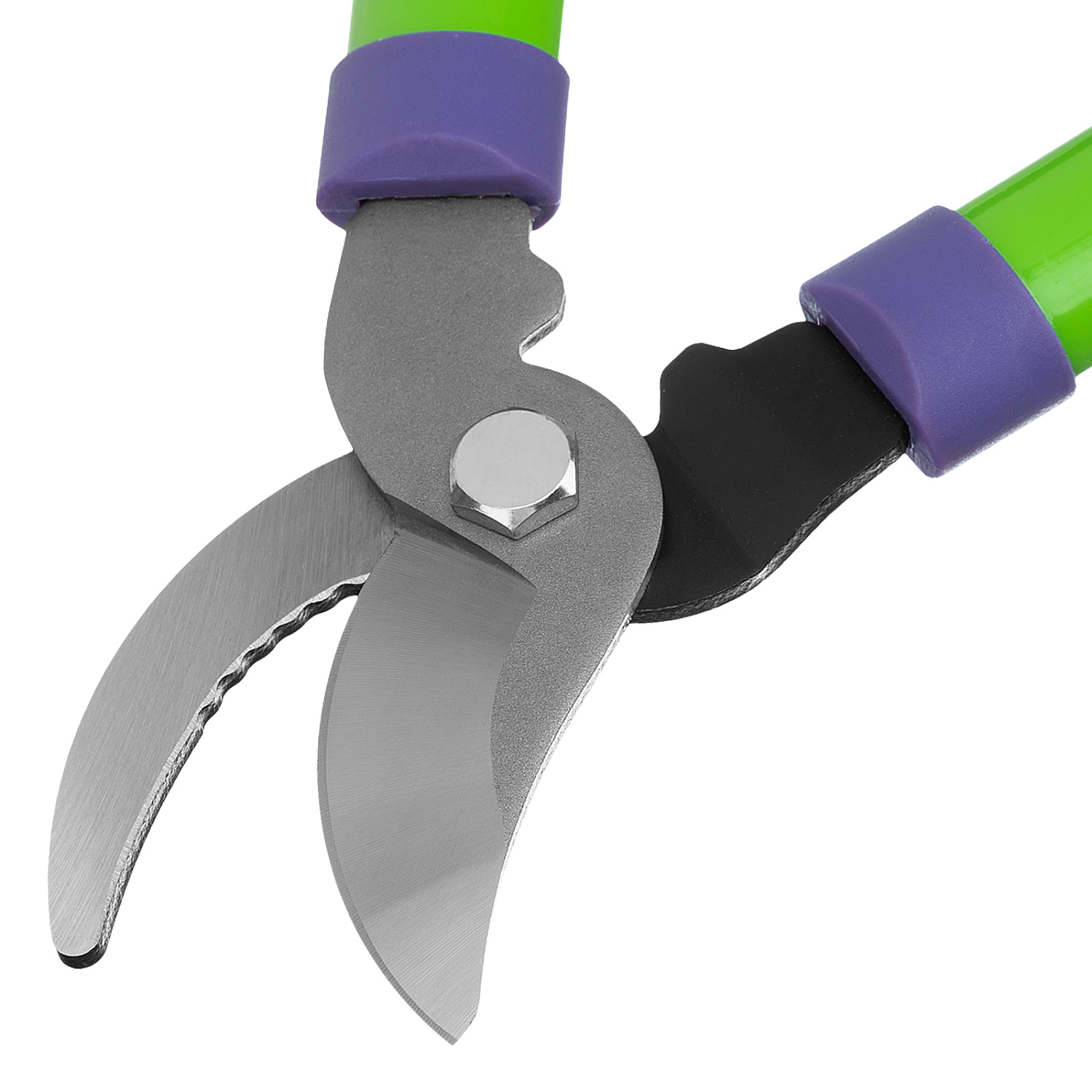 8a8890568d536ecffad1478e64cea957181c8223_60570_007