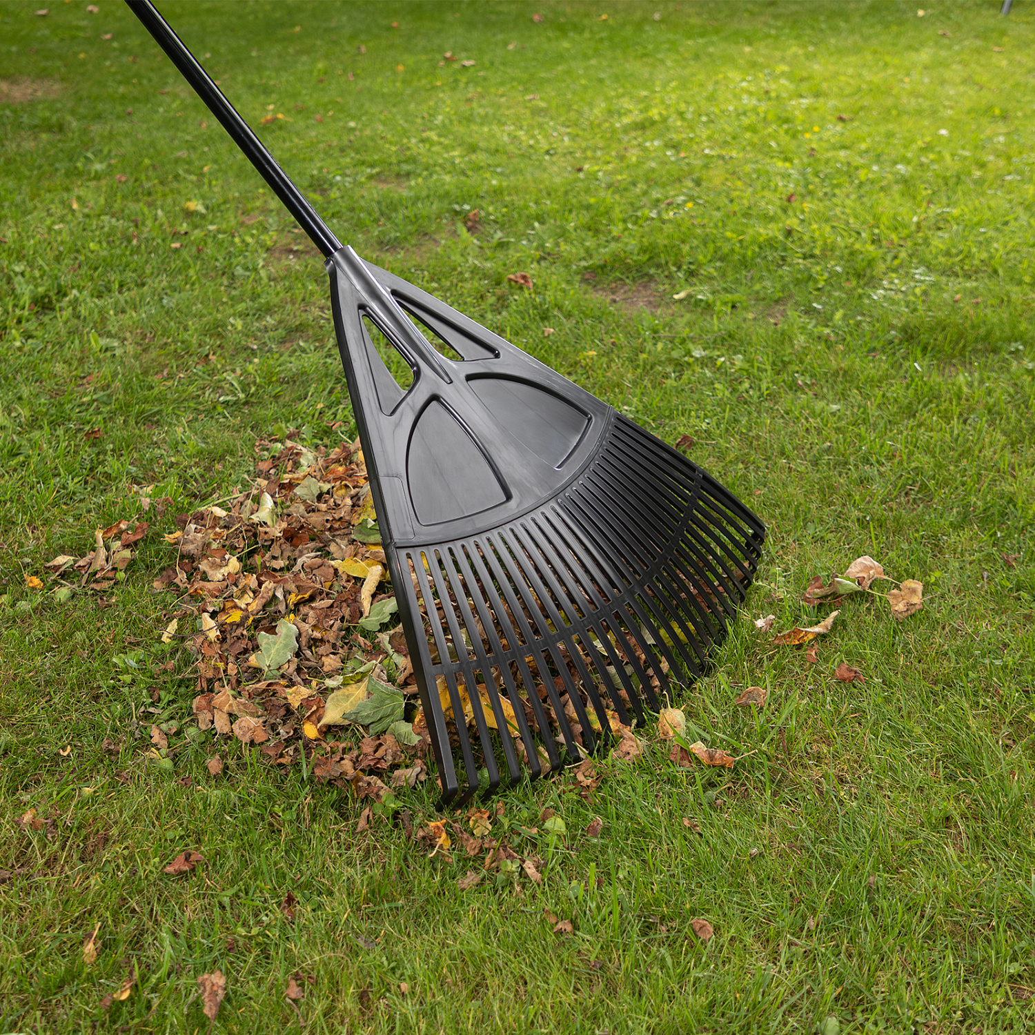 cb0ebc34437c6a44f7167a8fb2e82f6b97bfc883_61806_002