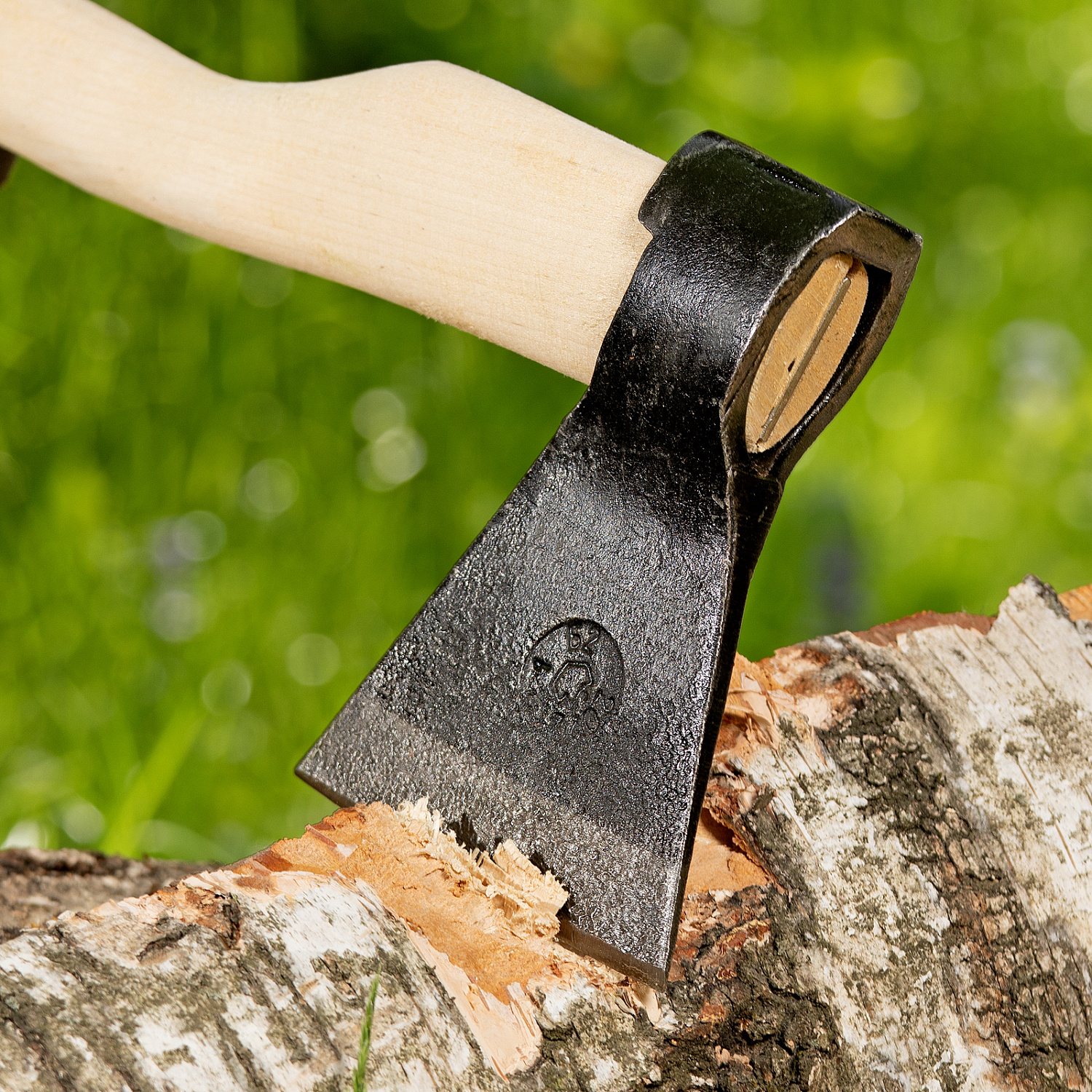 116fc5bd34e966271c103bb4385b6e6a08dd7cba_21674_007