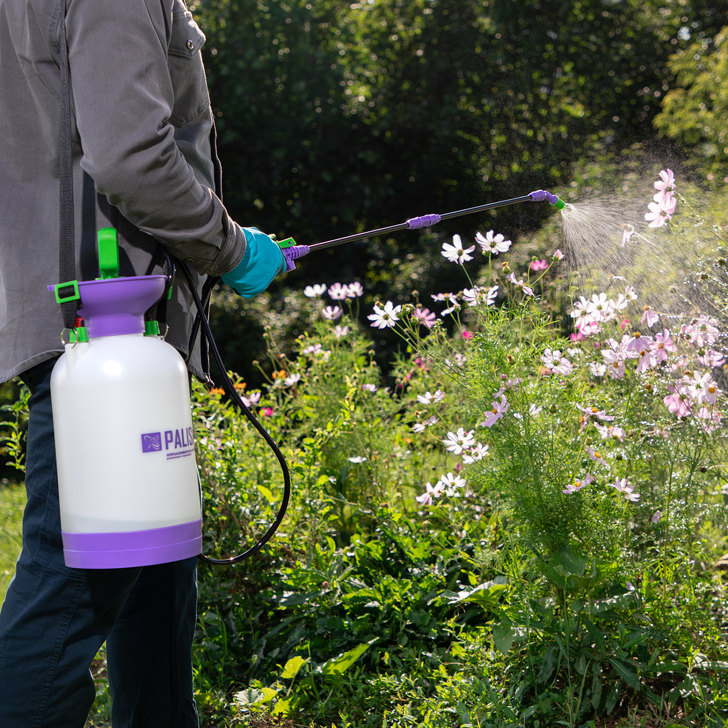 3206947d088507de1f70c2562d271018cf99af0e_64745_3