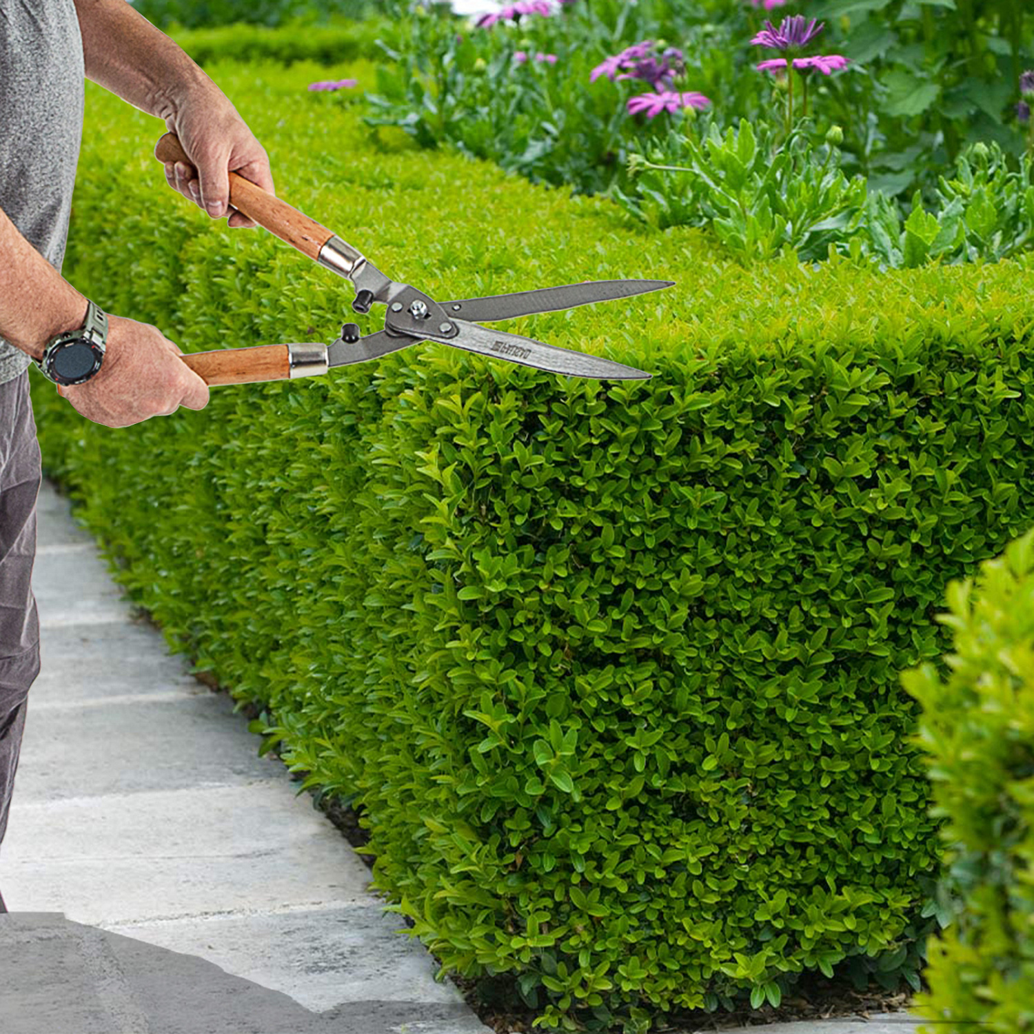 04796dbffe5d44ca8a34c004f594d75bd3ffca33_608375_7