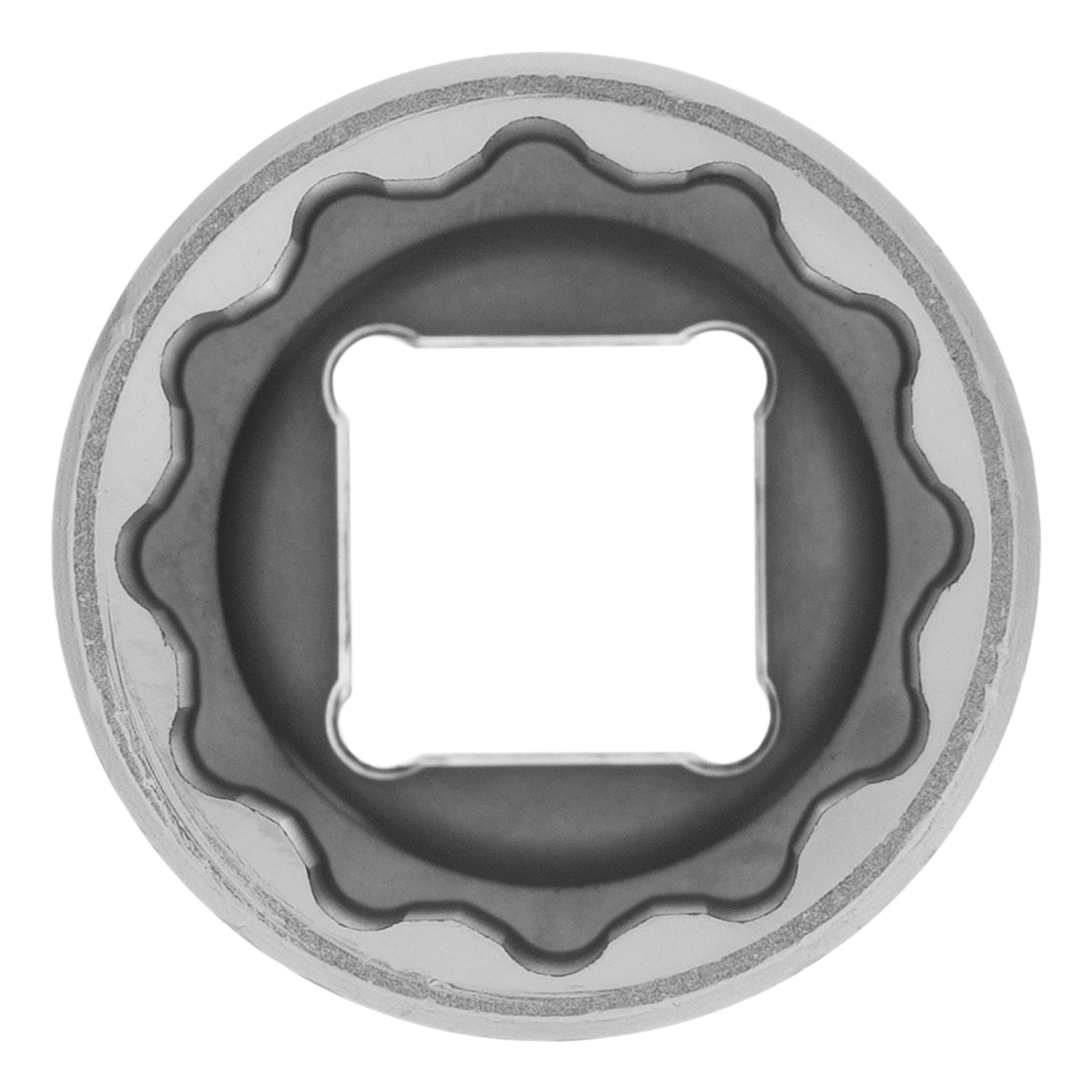 bf8e8b1dcb7615c1bbfb8e8c299711ddc7fa455a_13692_003