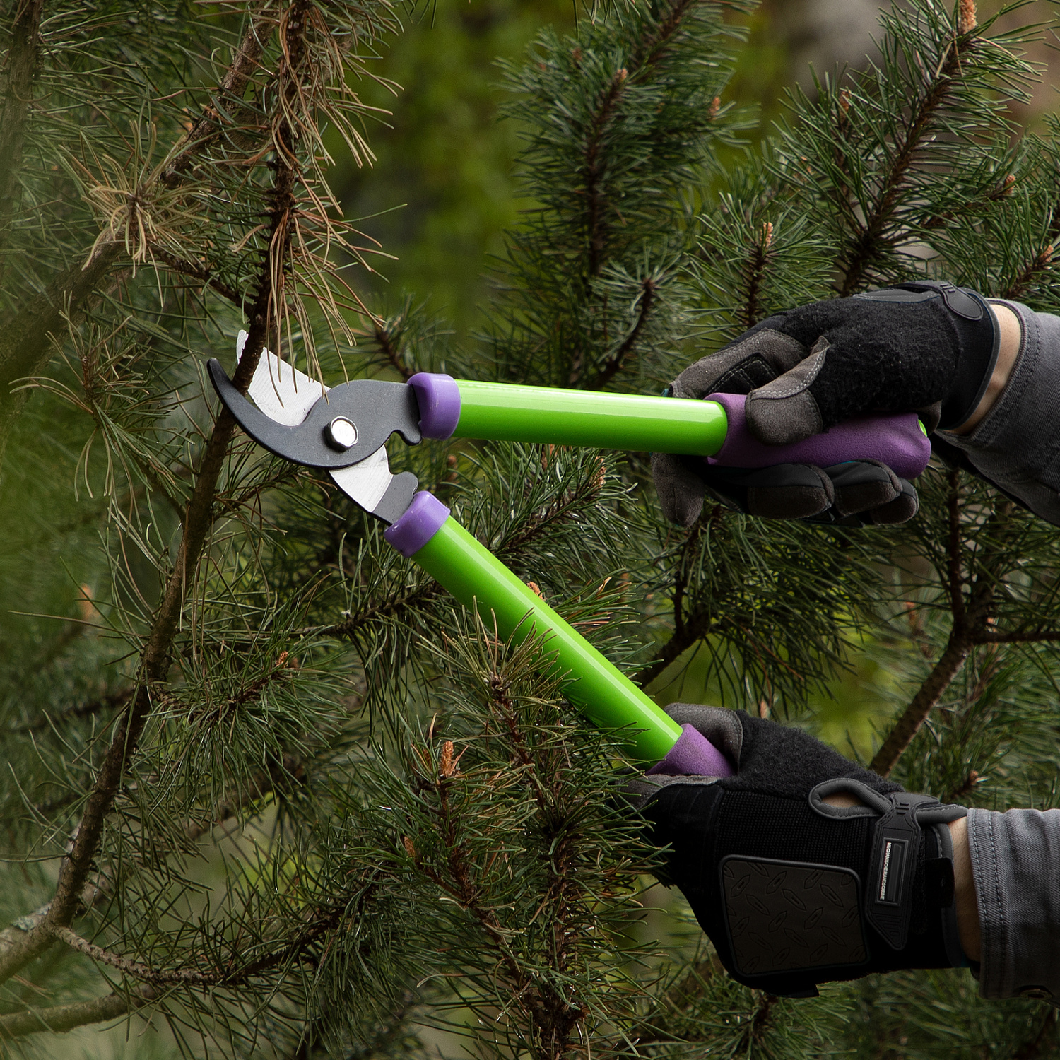 86530161e6bc45d118ff858bbc0d2cf002b65f7f_60568_5