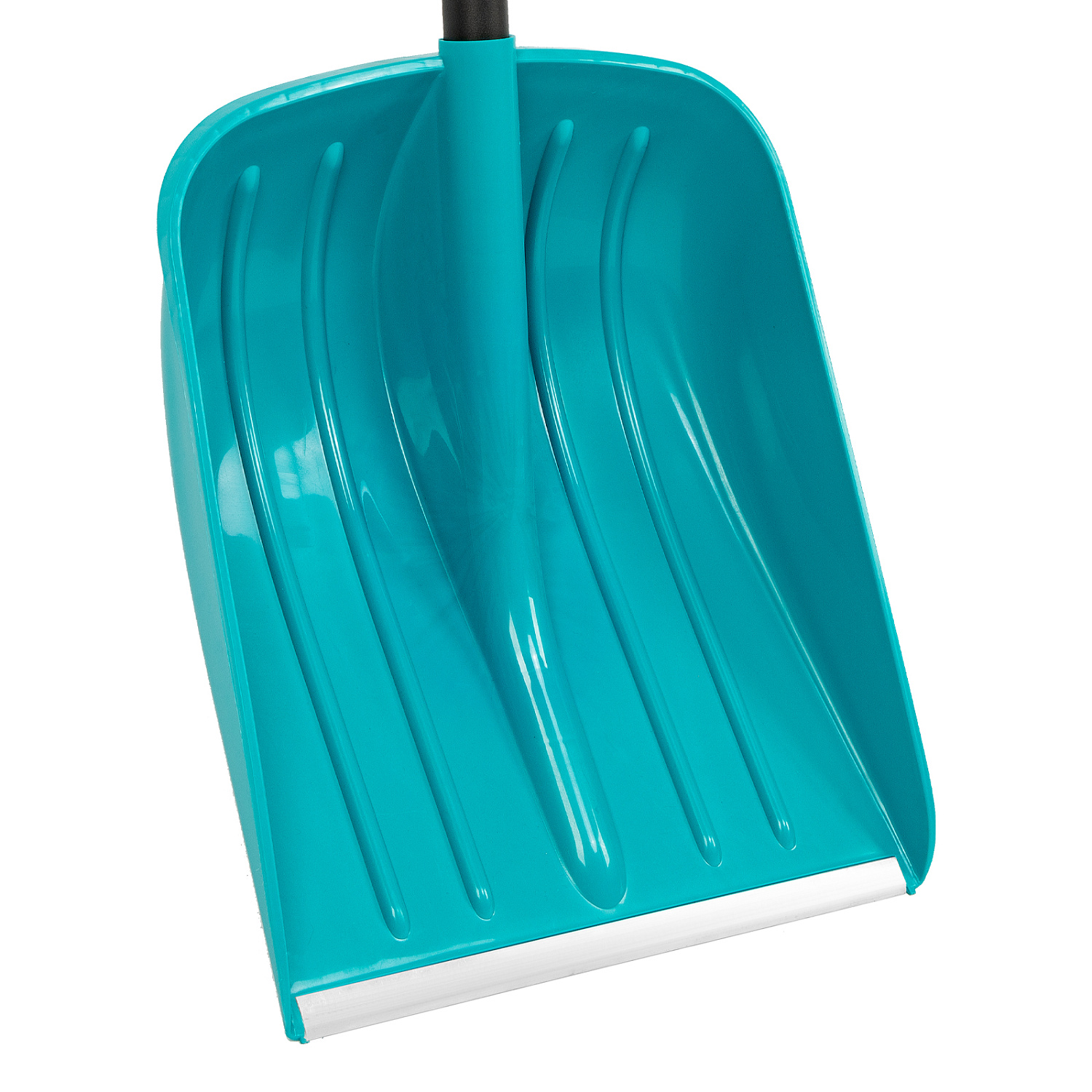 b008b69dd7c04b9eb0245c49d8a62d6033dbaa64_61677_004