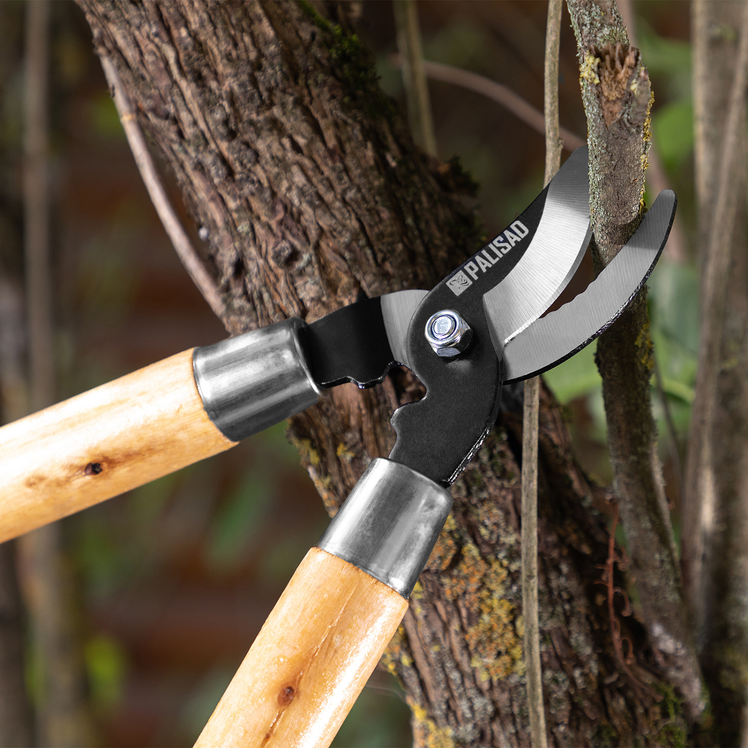 d0c24d3d9b047299b0b7f8c1ea529ad874ef8776_605665_r01