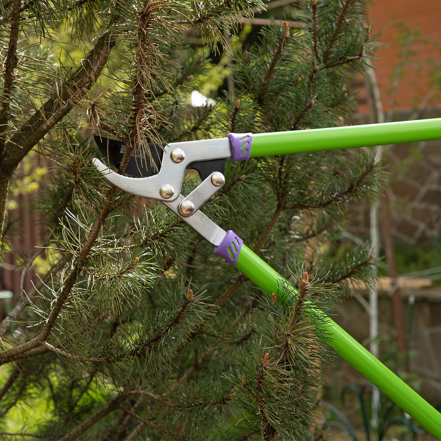 cbc07e667d26d266b2c74ed38f2dc4ea4fe35b3b_60522_5