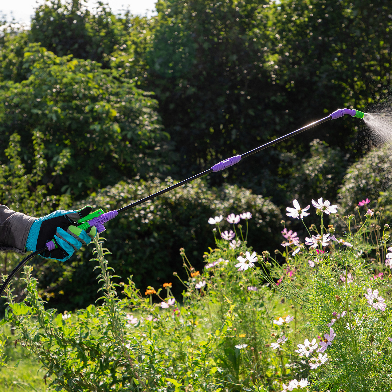 a6b4265f4af22e4973507203d0a987726be8e3f4_64743_3