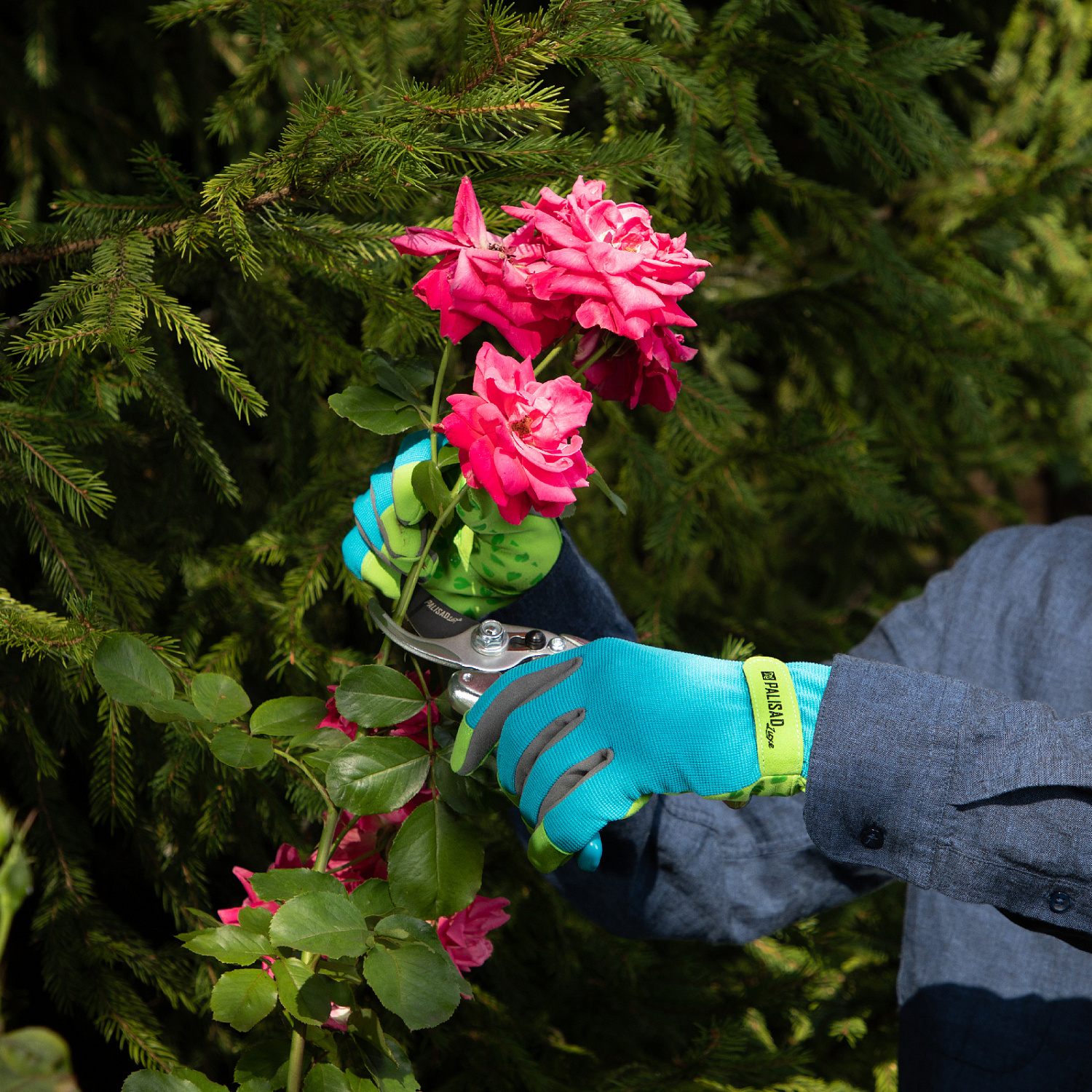 ea2149ac78cfe921015bf5cb270cb3731f6d3677_67981_3