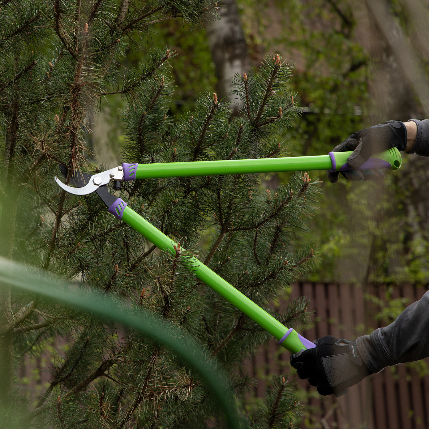 61e1ad3fd760e2c39877bd800337bbf492be237b_60506_7