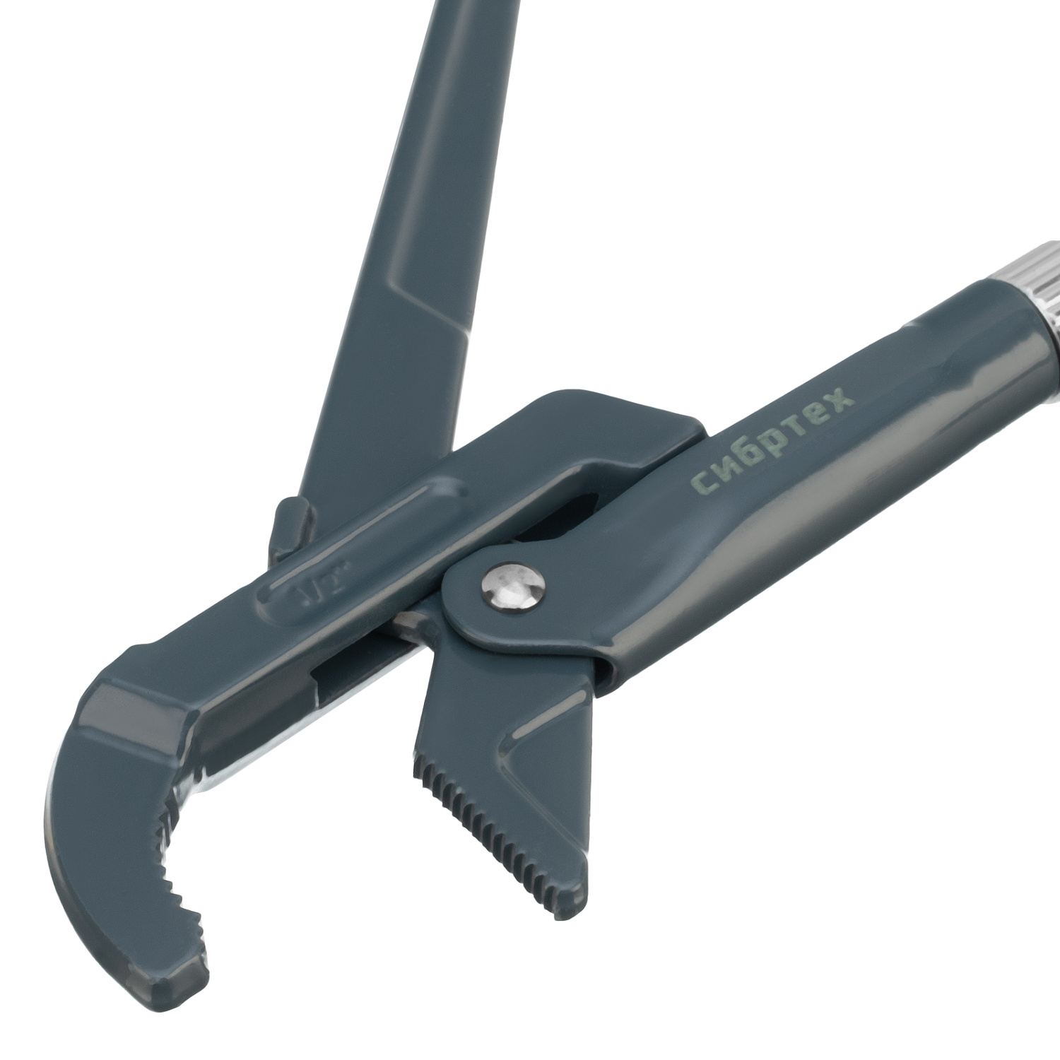 1255f3bcb0352862bbe8724b1d738149976a6206_15769_004