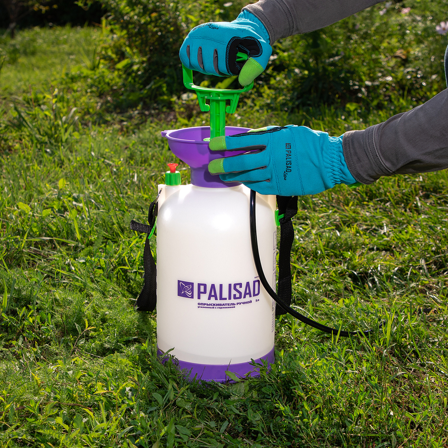 b048c01481bf796536b577fbf6dad9357d02cc33_64745_6