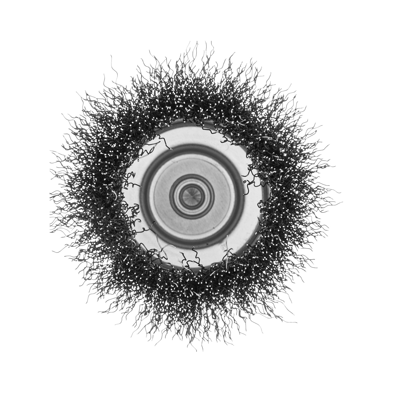 3033e309a839b421c28a5ab55222a33da070e0fb_744773_002