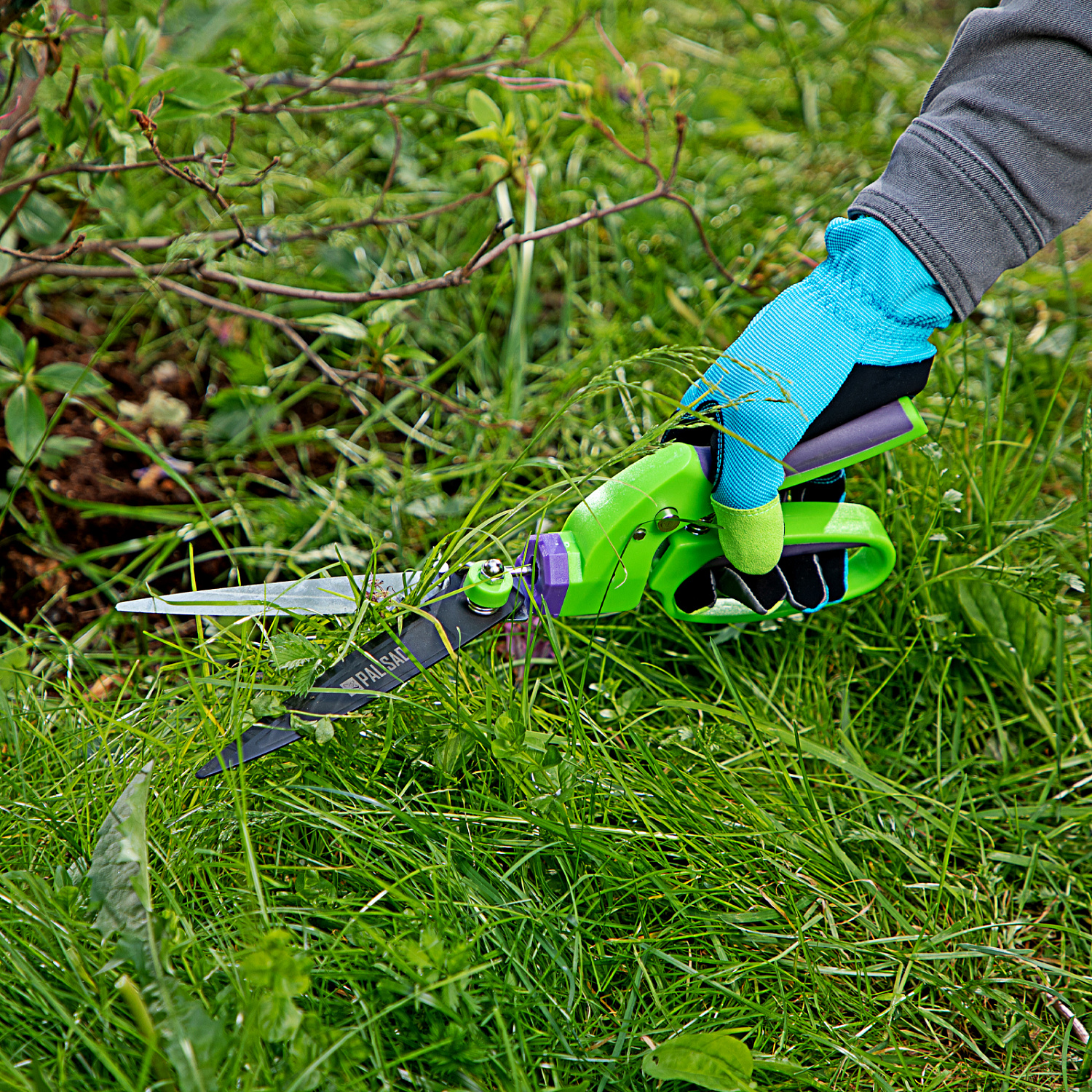 86c14f8e3fb876ff70bf707a6b5d984bf08c9601_60574_4