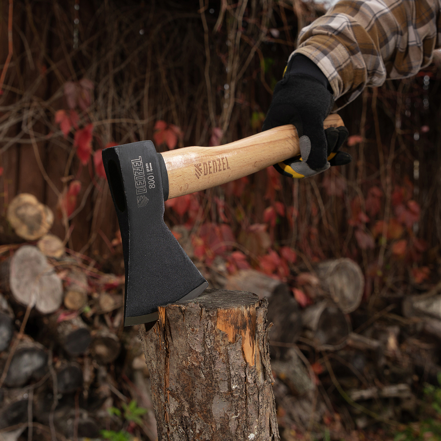 ad660c3d8f6c12f69dbfbdf3742207273788978b_21633_005