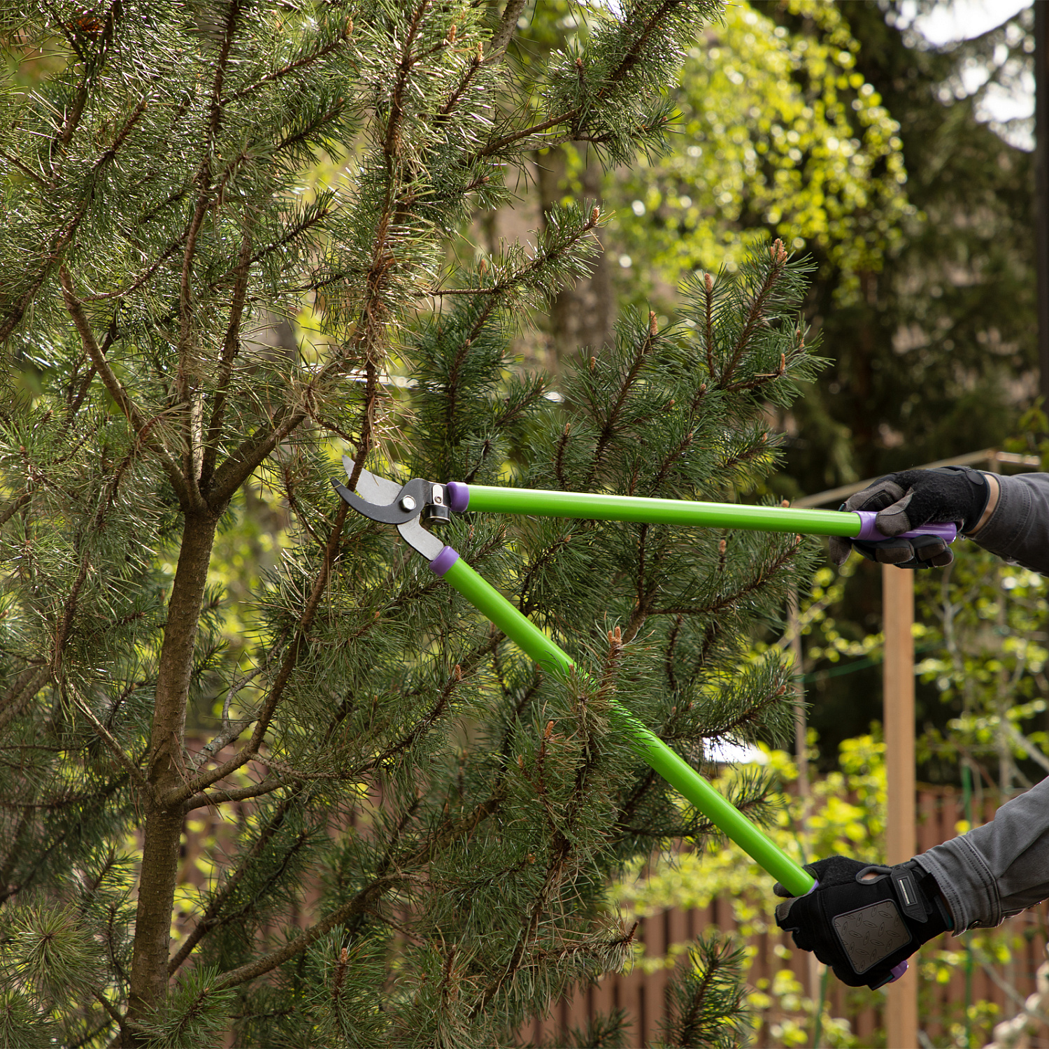 b34d66c868af973d53dc8ab0f1d3a7fe8df99a18_60521_3