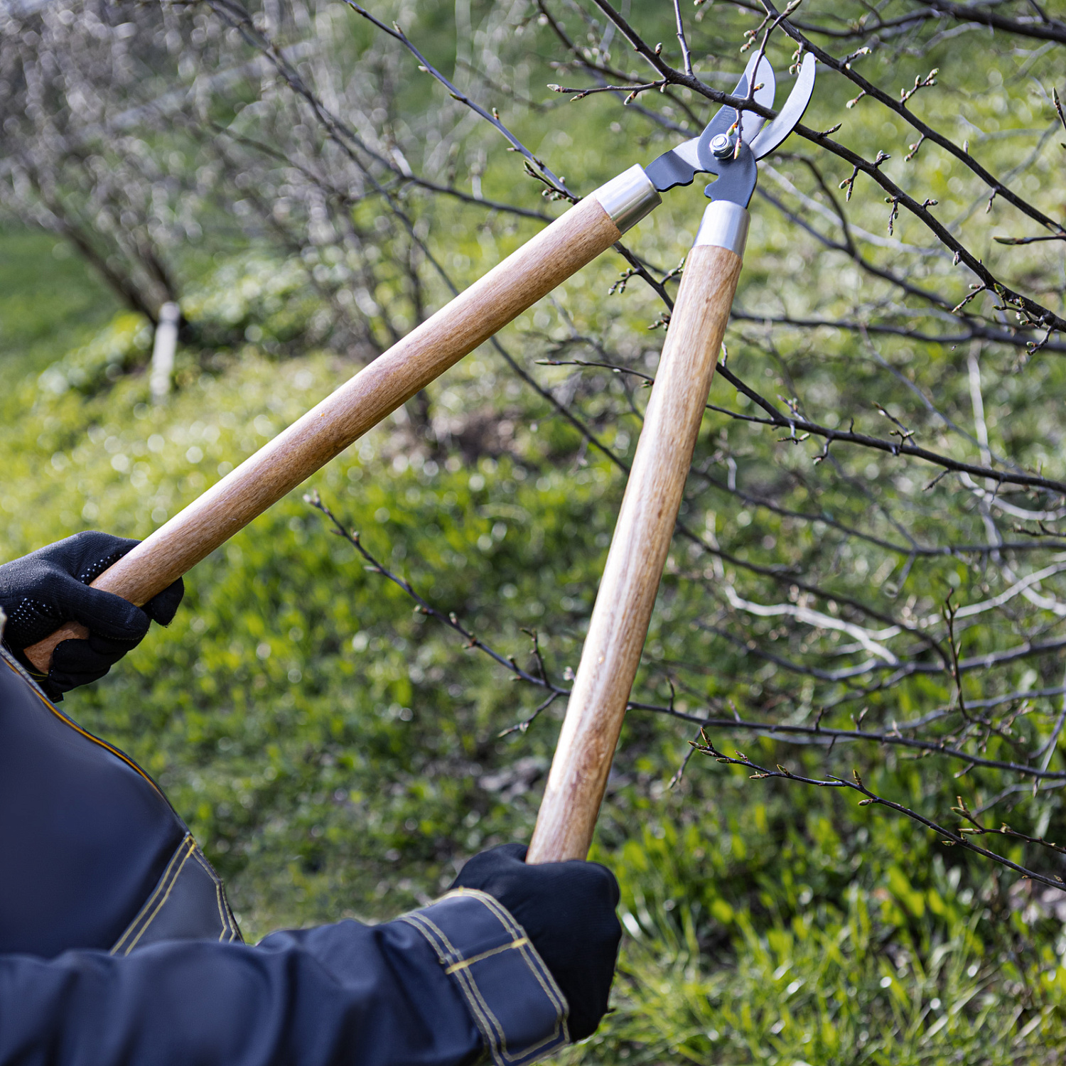 f3694ba384f4a836601bedc9b7c9e31a59fab7c0_605665_3