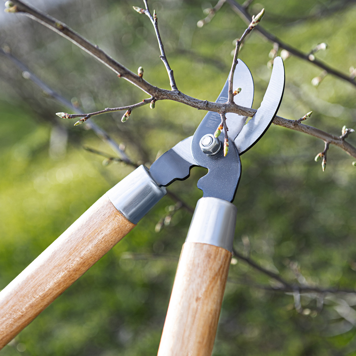 7737d4bfd116092af930671d441f9e53676a5ec1_605665_5