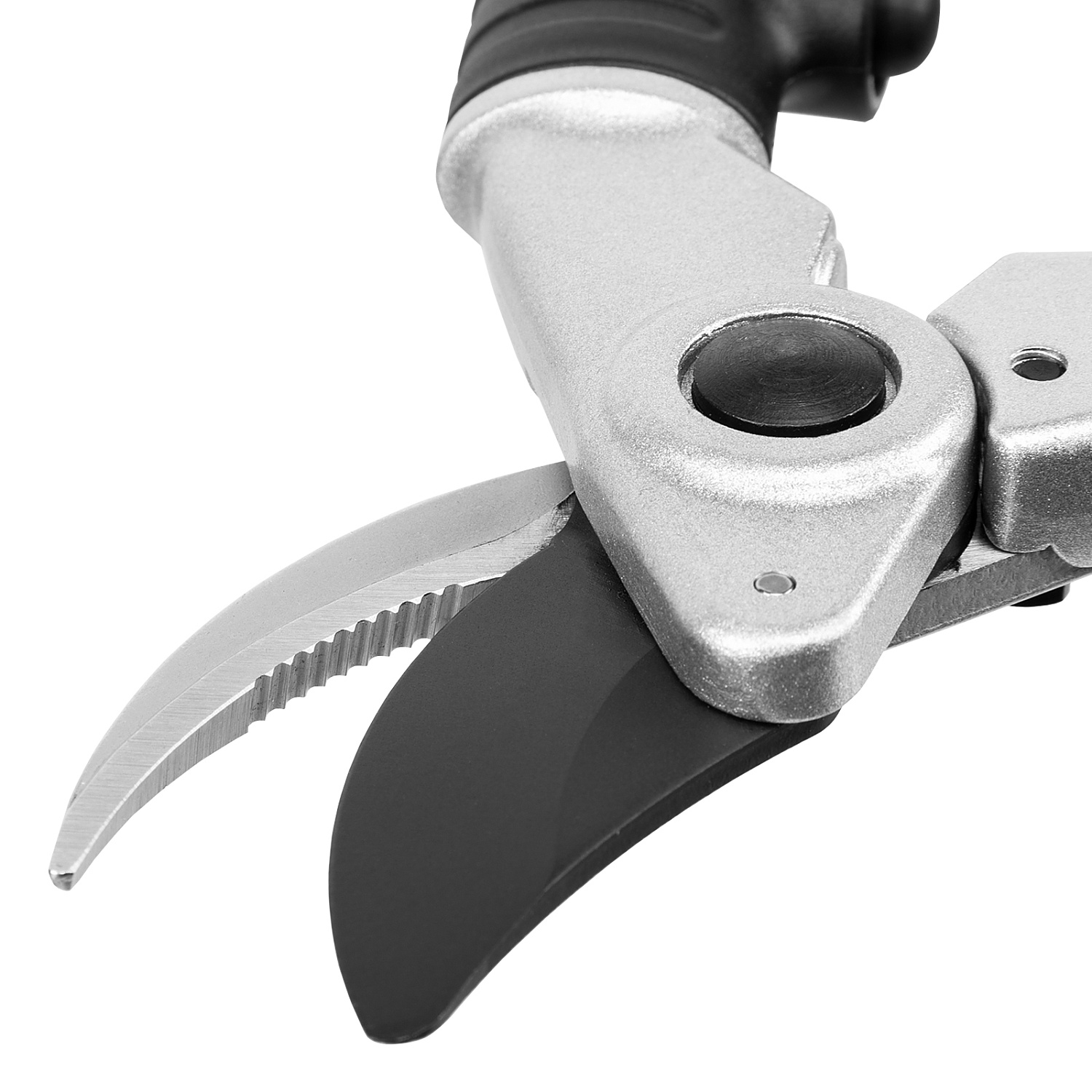 960de562450a88391cd5c0967281bca2a2096361_605675_7