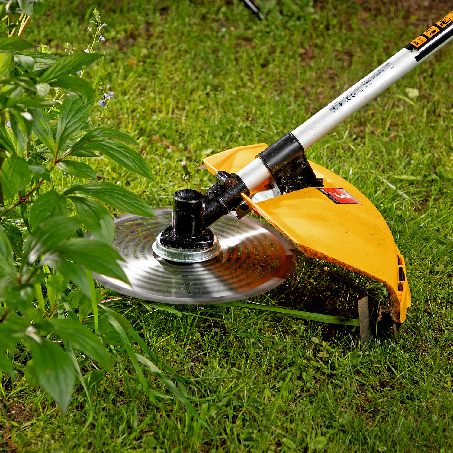 8915864a69da00f851ebf776b1ae768d99a644f5_96225_008