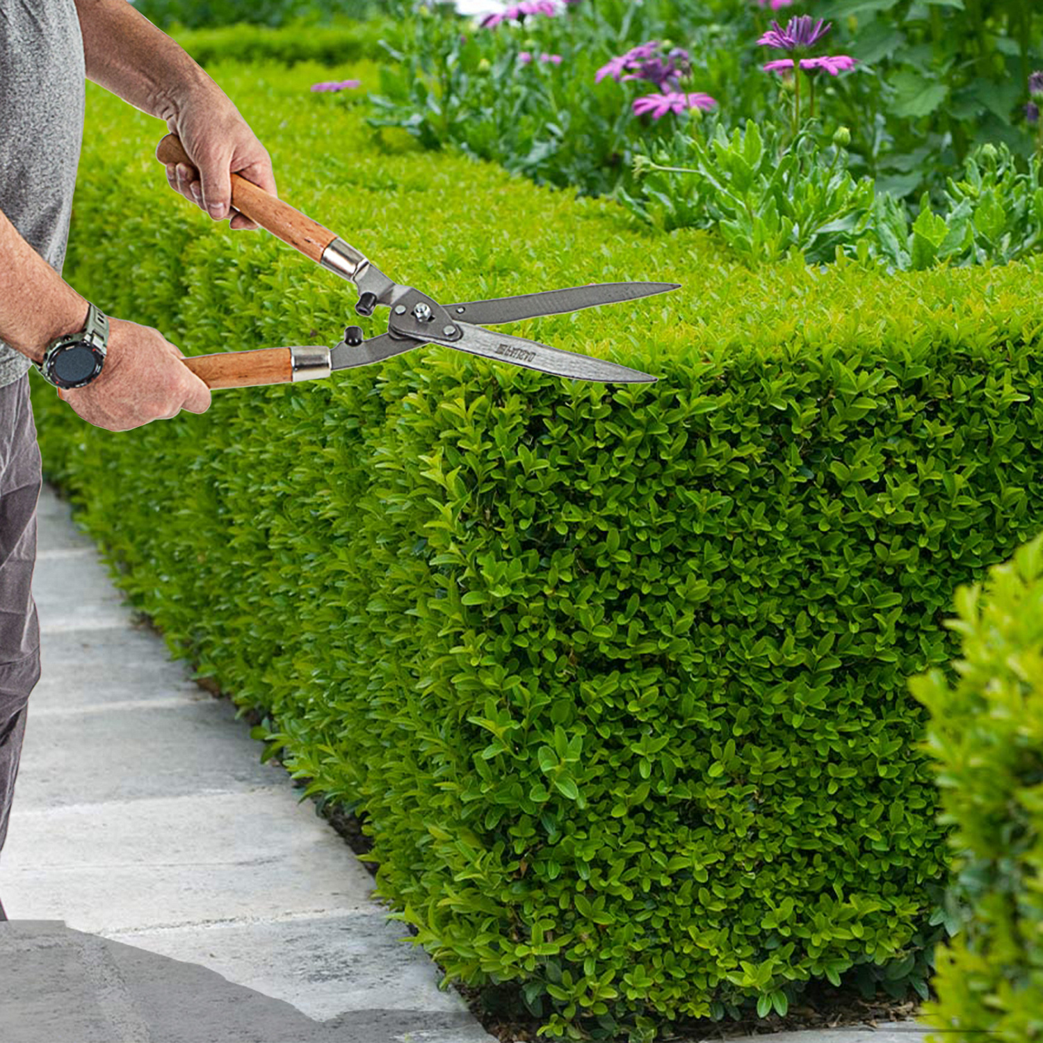 a397734aba3445445cbb70e575fc363963d9eb46_608375_8