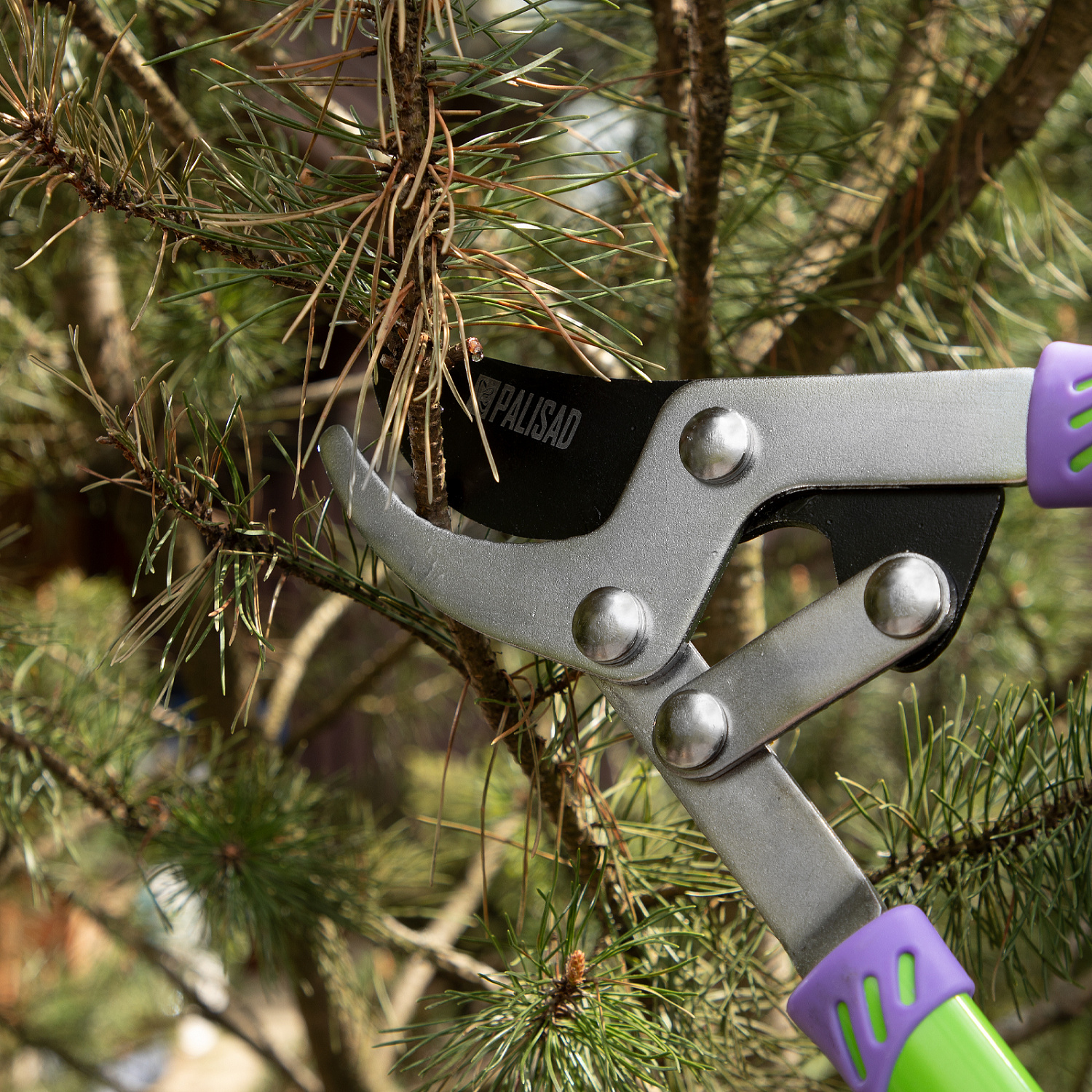 5dd7bd758da8c8afaa0e78b5961230b7453e2f4e_60522_r01