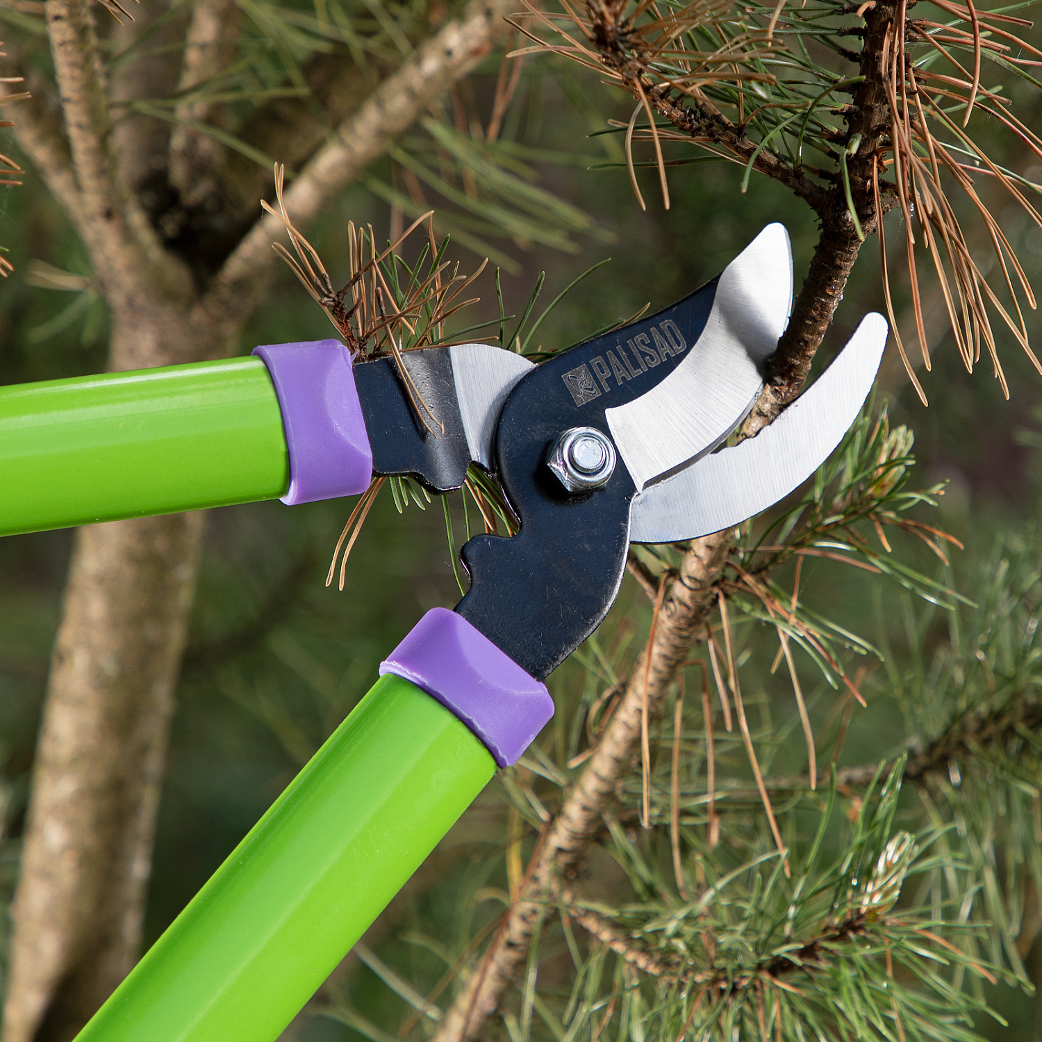 fef2a1077f6656d4d12e33fcde502d2db6f756b6_60570_003