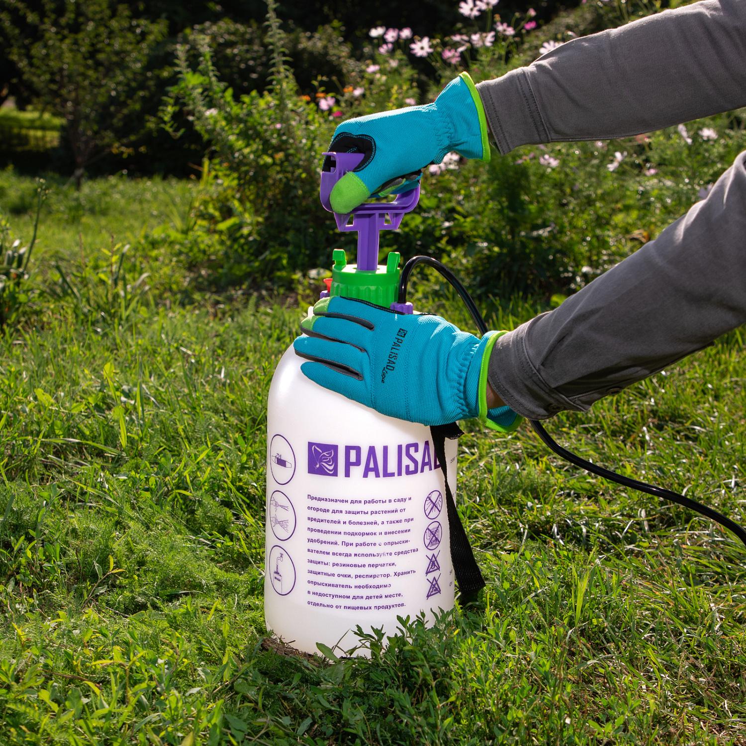 860b9ee30edb18175742d8615950b276cd78d616_64750_4