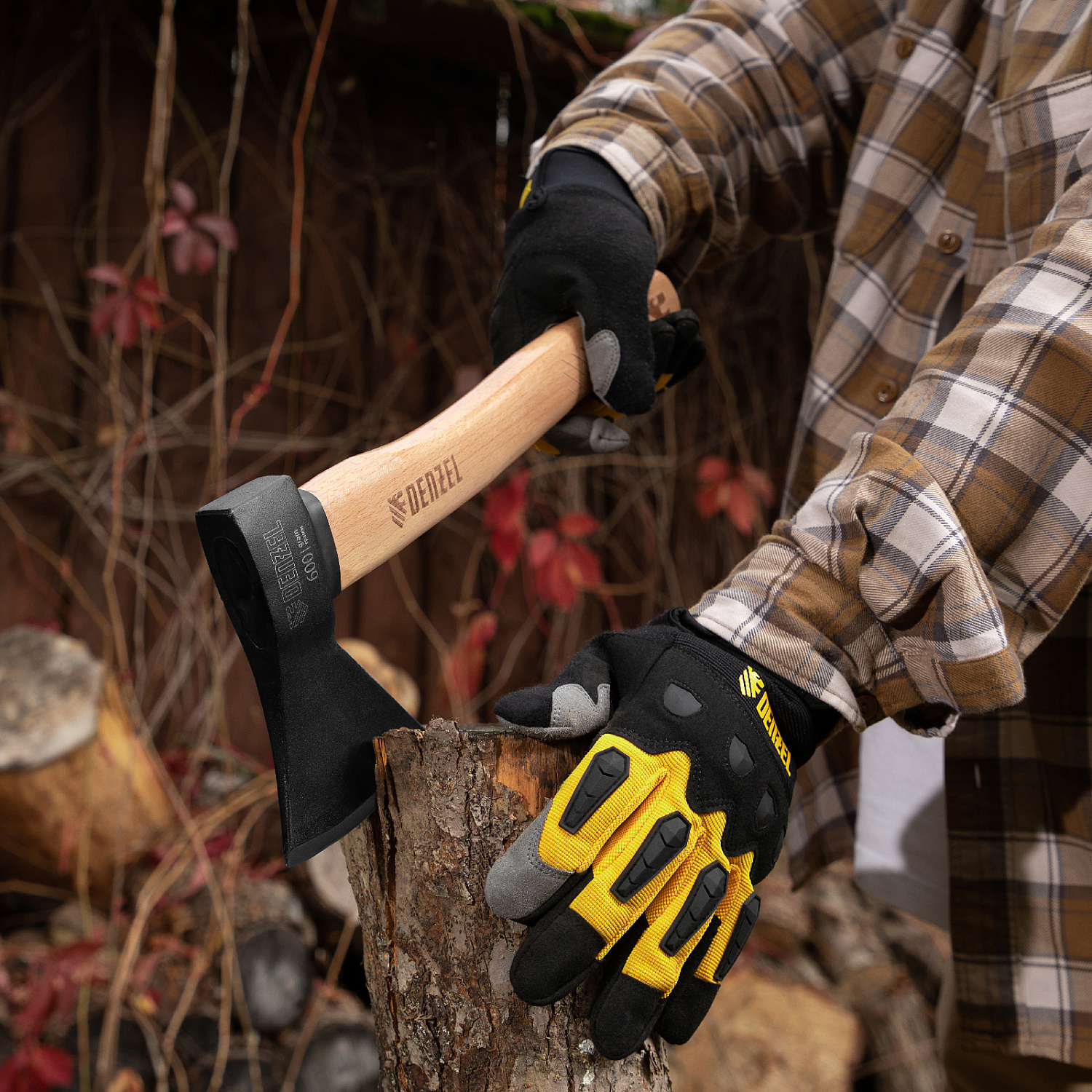 3778701e553641a30edf0ae3ec38da49ced95241_21631_l01