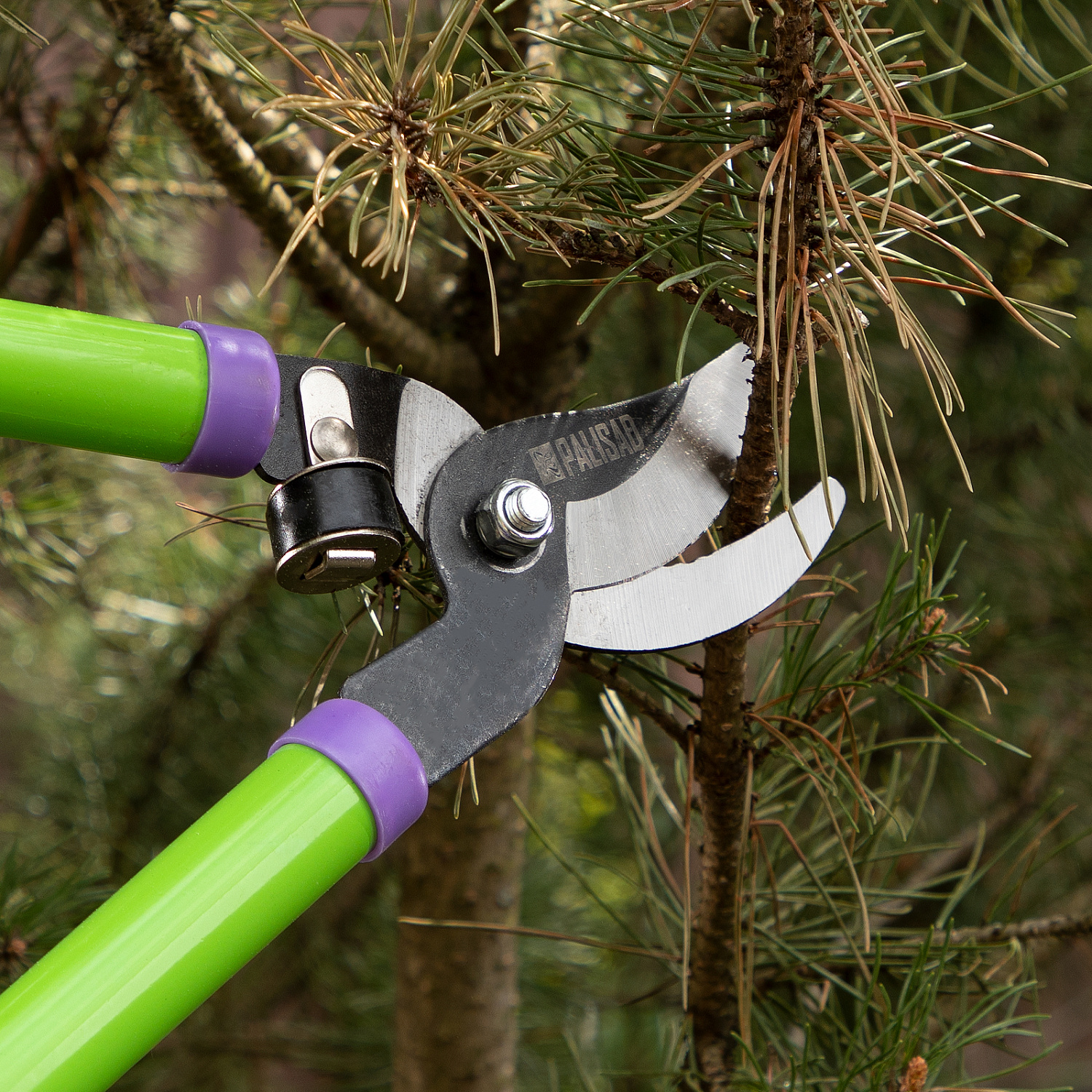 035661585810e0370d7aeed13c715e03fe9be10d_60521_4