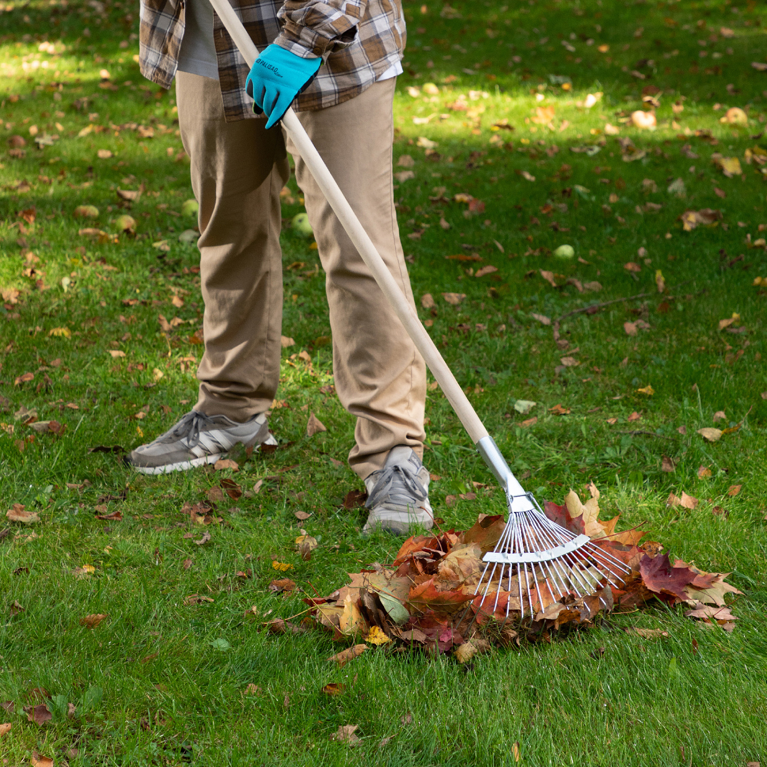 31c337c3c81065437274125e41f8790e9bd9fdc0_61780_6