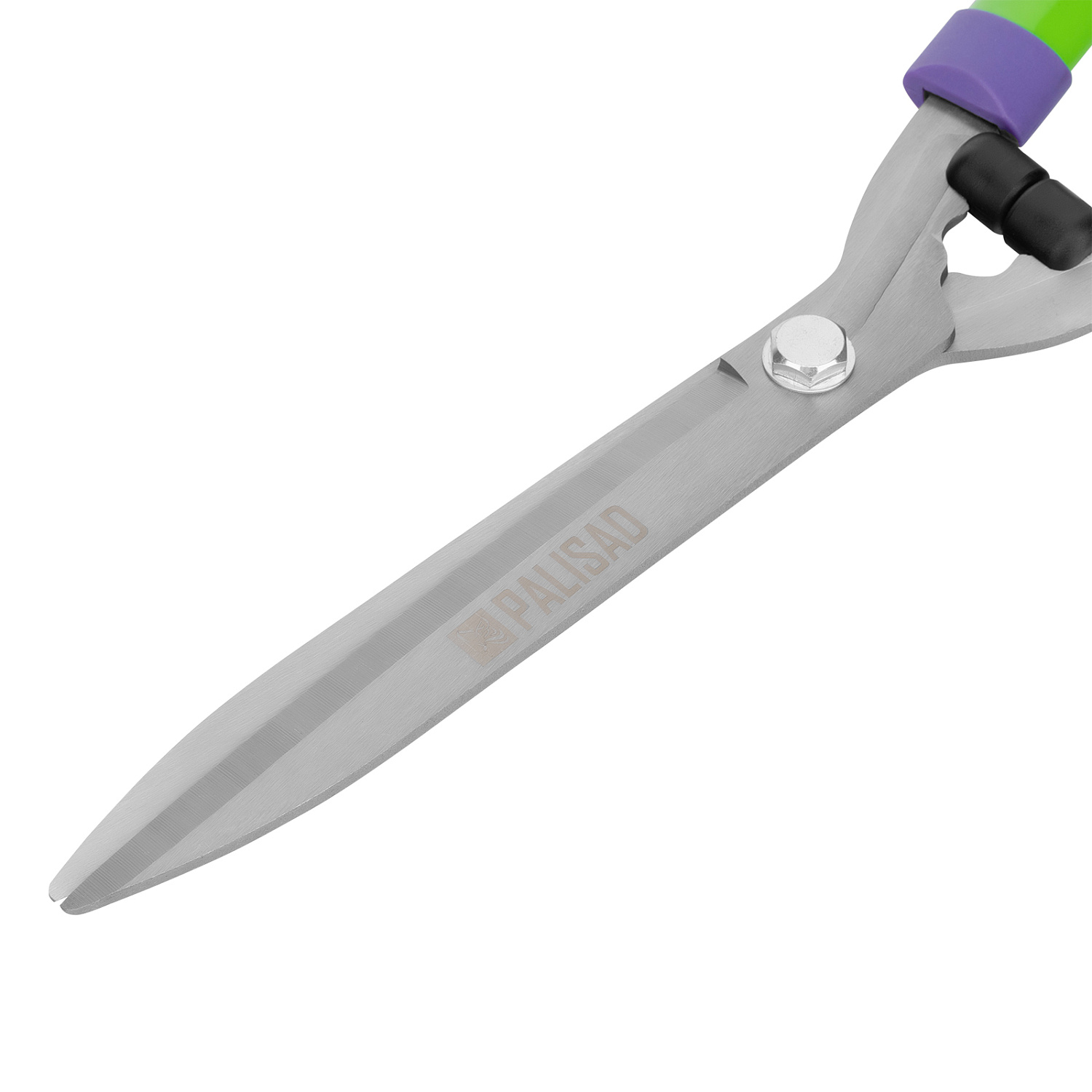 4e3f1f15e085943c45b8067cb19ea744a24d4869_60591_009