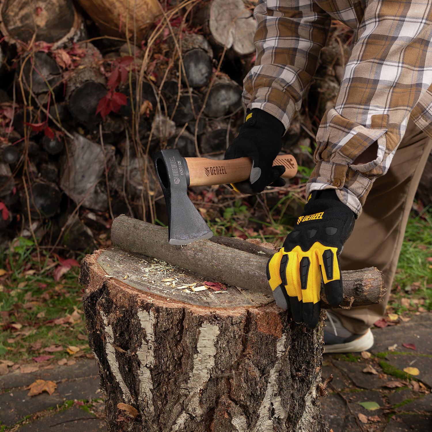 d3db1ddfd3b3c59939bd1d6464204a9ac9c90638_21631_006