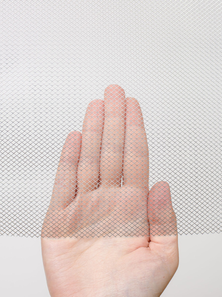 2х2 рука 800х400