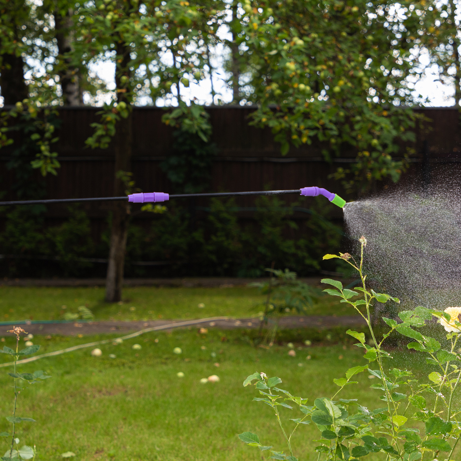 d85b715385a9ac7d3fe8a9760e672118aa23b6d2_64740_9