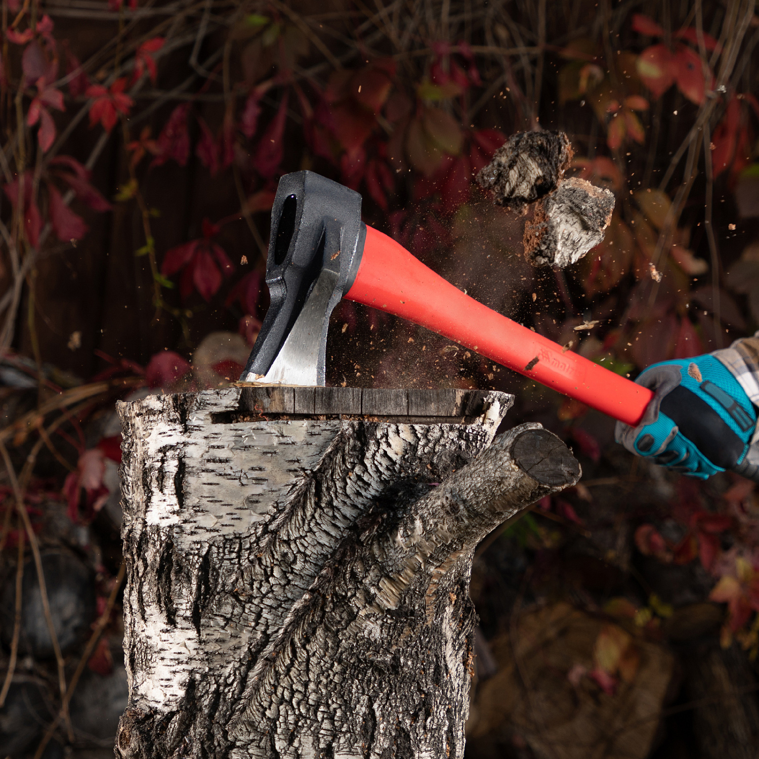 40ef61a57013617023ecd7ed22dc6dd550486e9c_21816_003